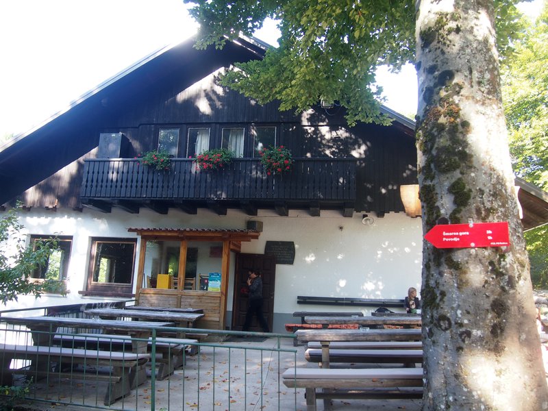 Rašica, Šmarna gora, izlet, LJubljana , pohod, gozd