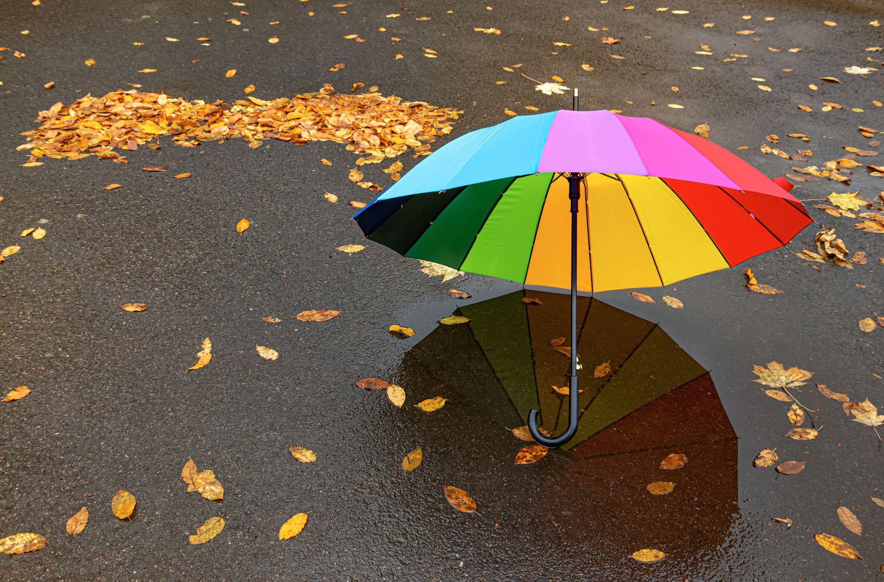 dežnik, dež, vreme, oblačno, vremenska napoved