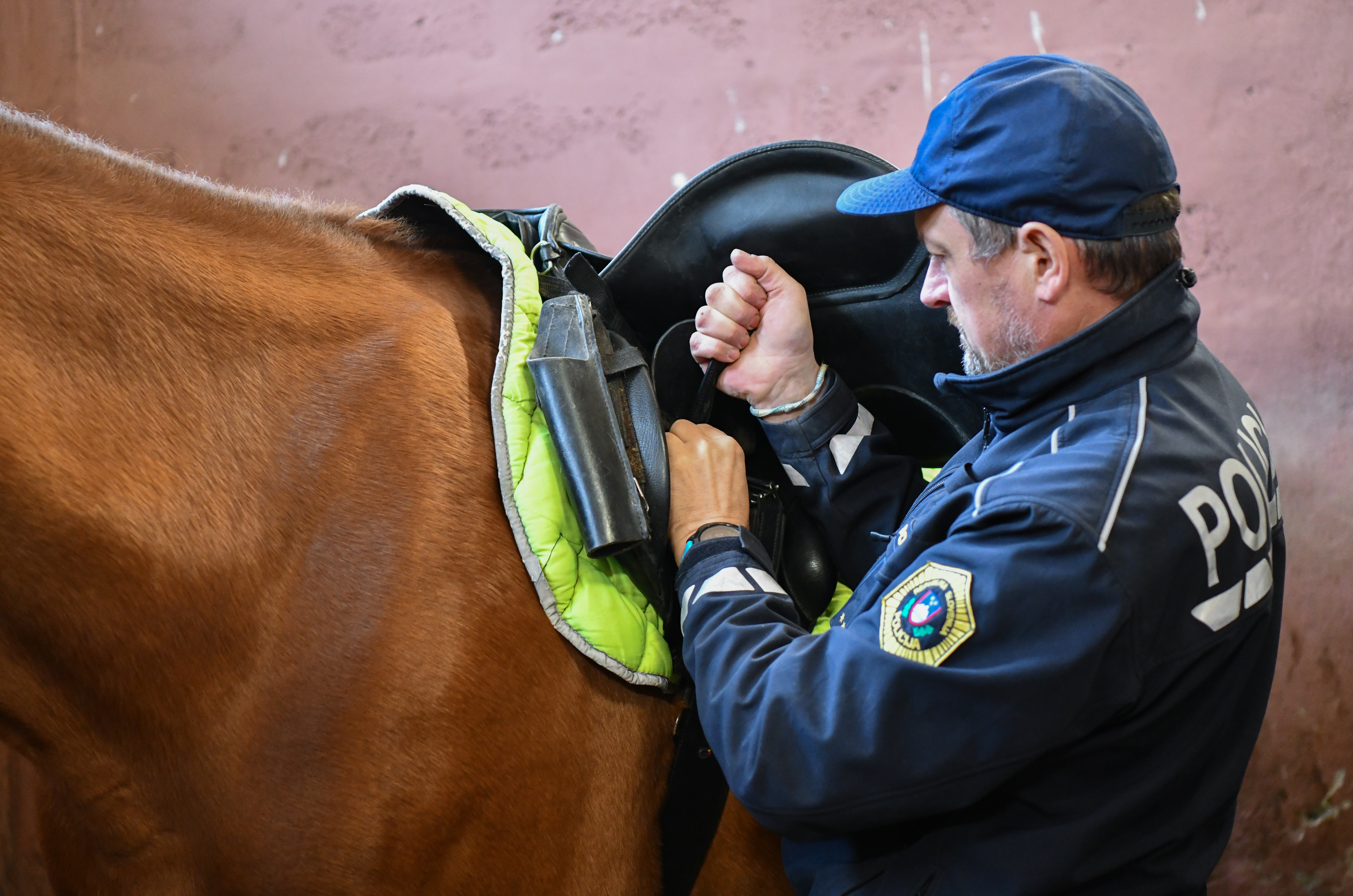 policijski konj, konjenik