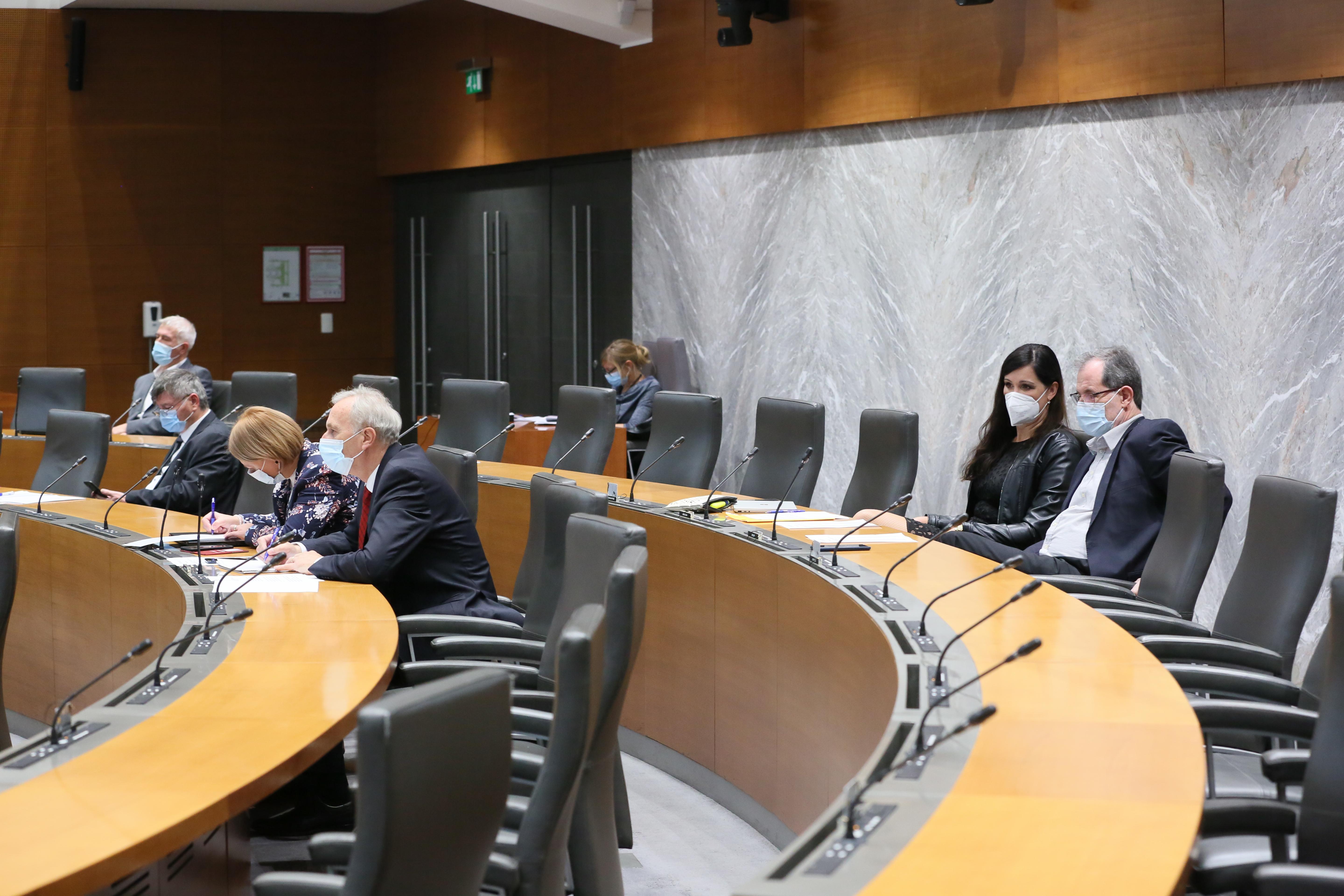 interpelacija dikaučič