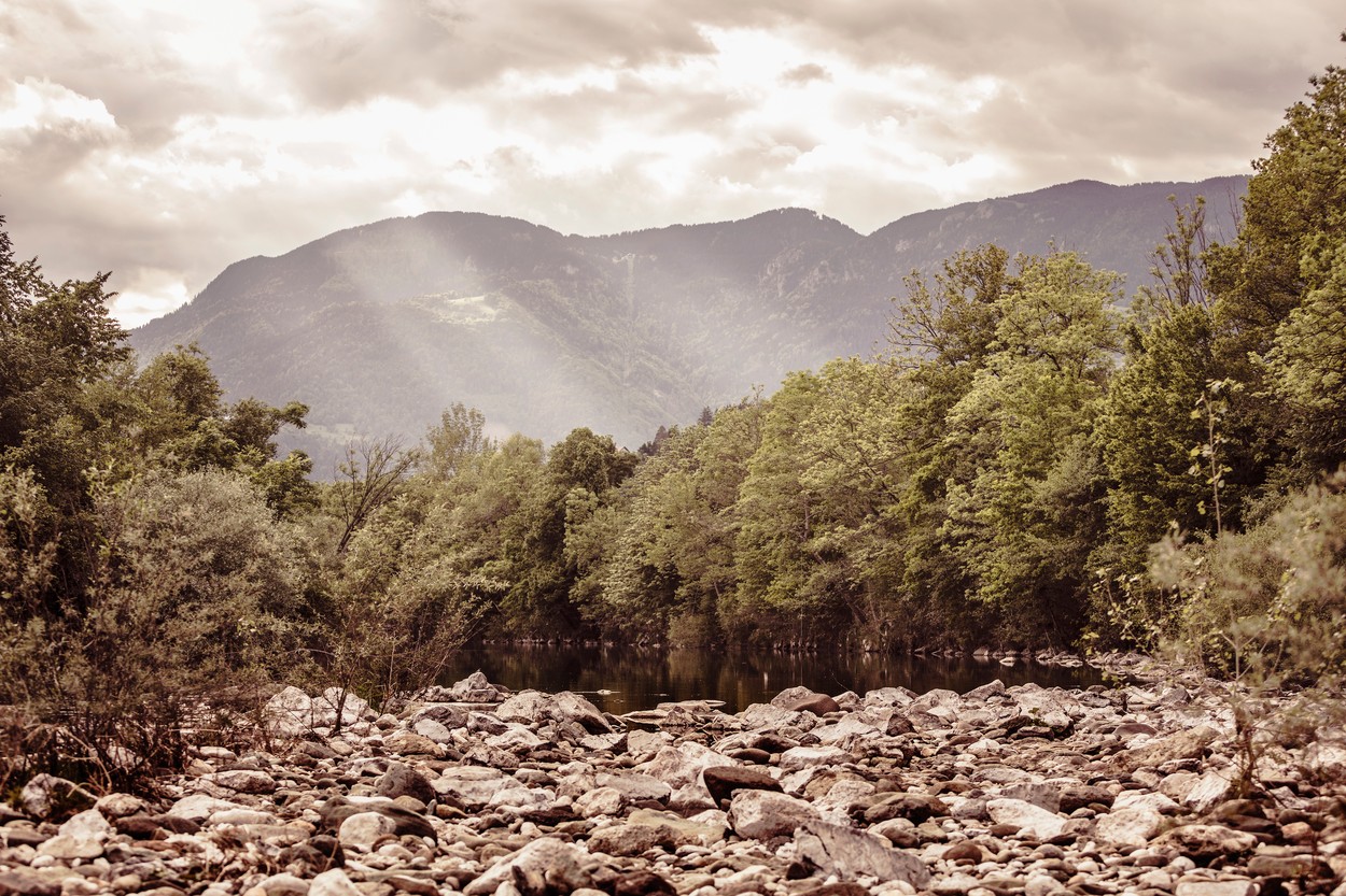 vreme, november, narava