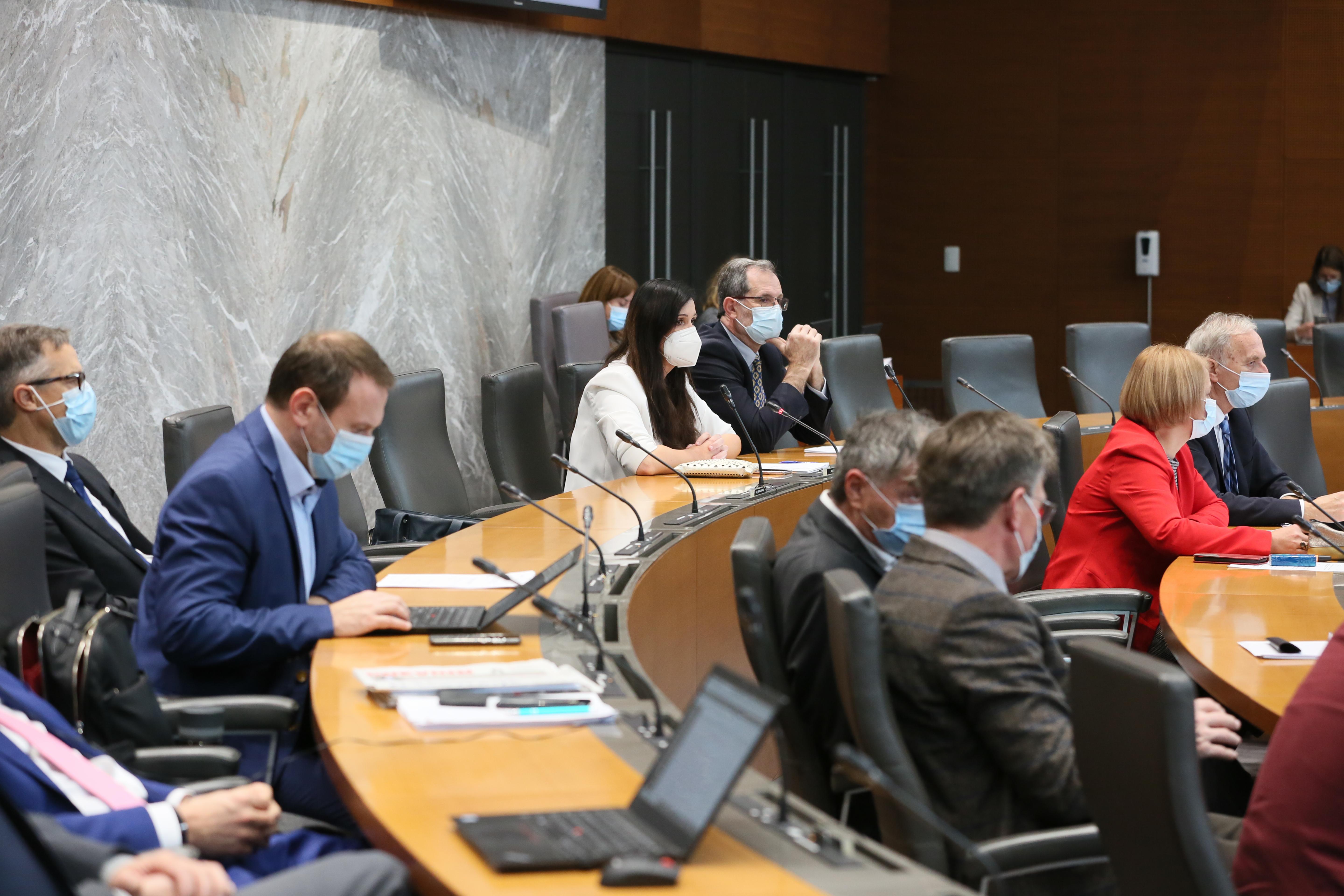 poslanska skupina nepovezanih poslancev