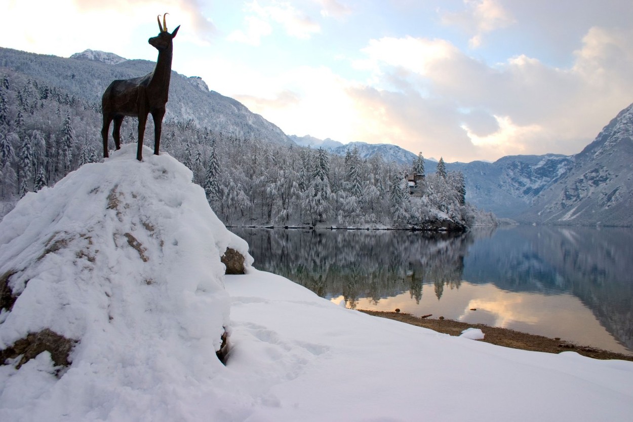 bohinj, boni, turizem