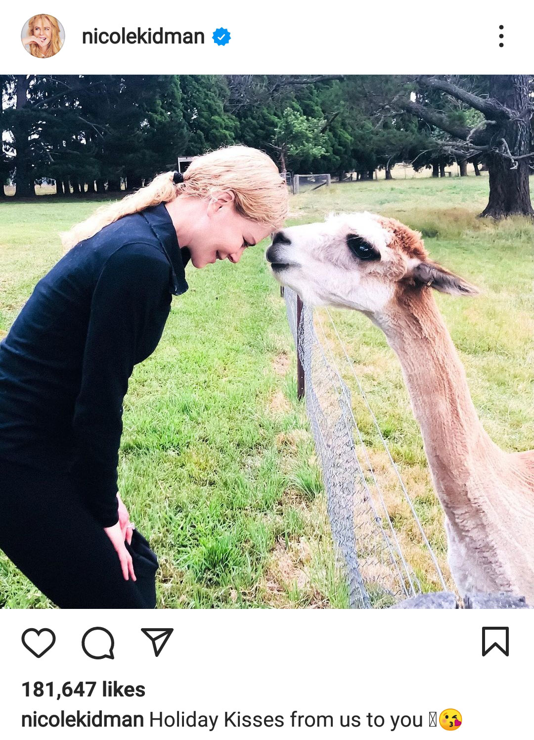 1637933256-Nicole-Kidman-alpaka.jpg