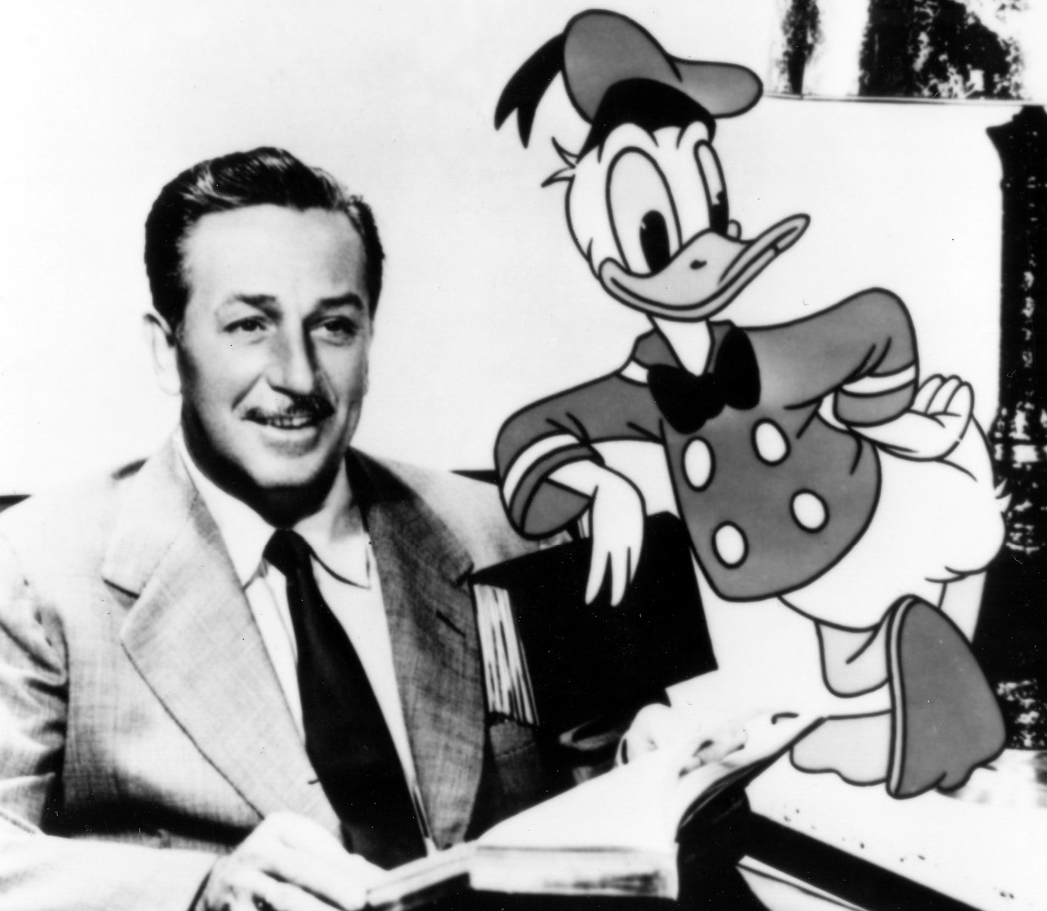 WALT DISNEY, Disney, risnake,