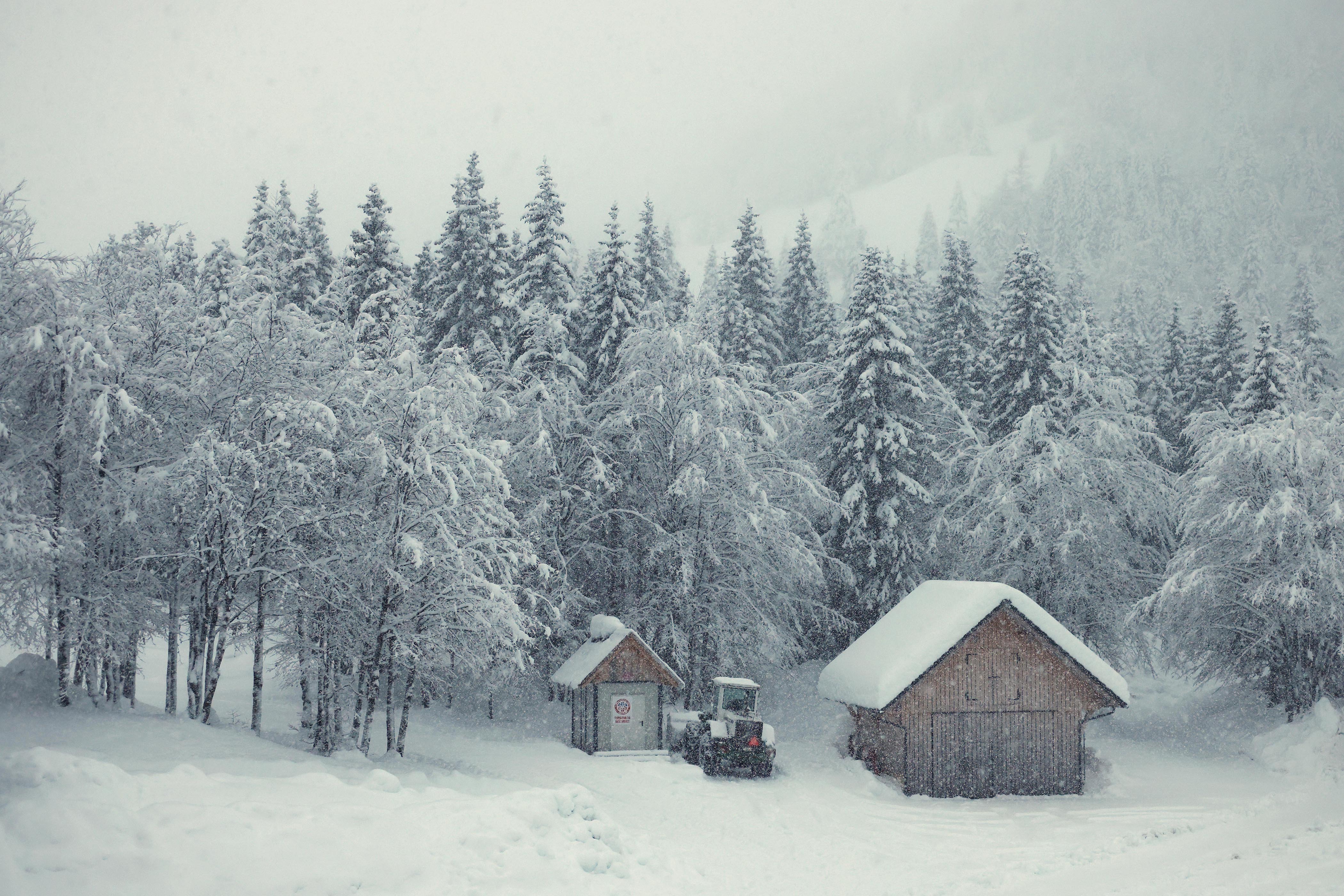 Soriška planina, sneg, zima