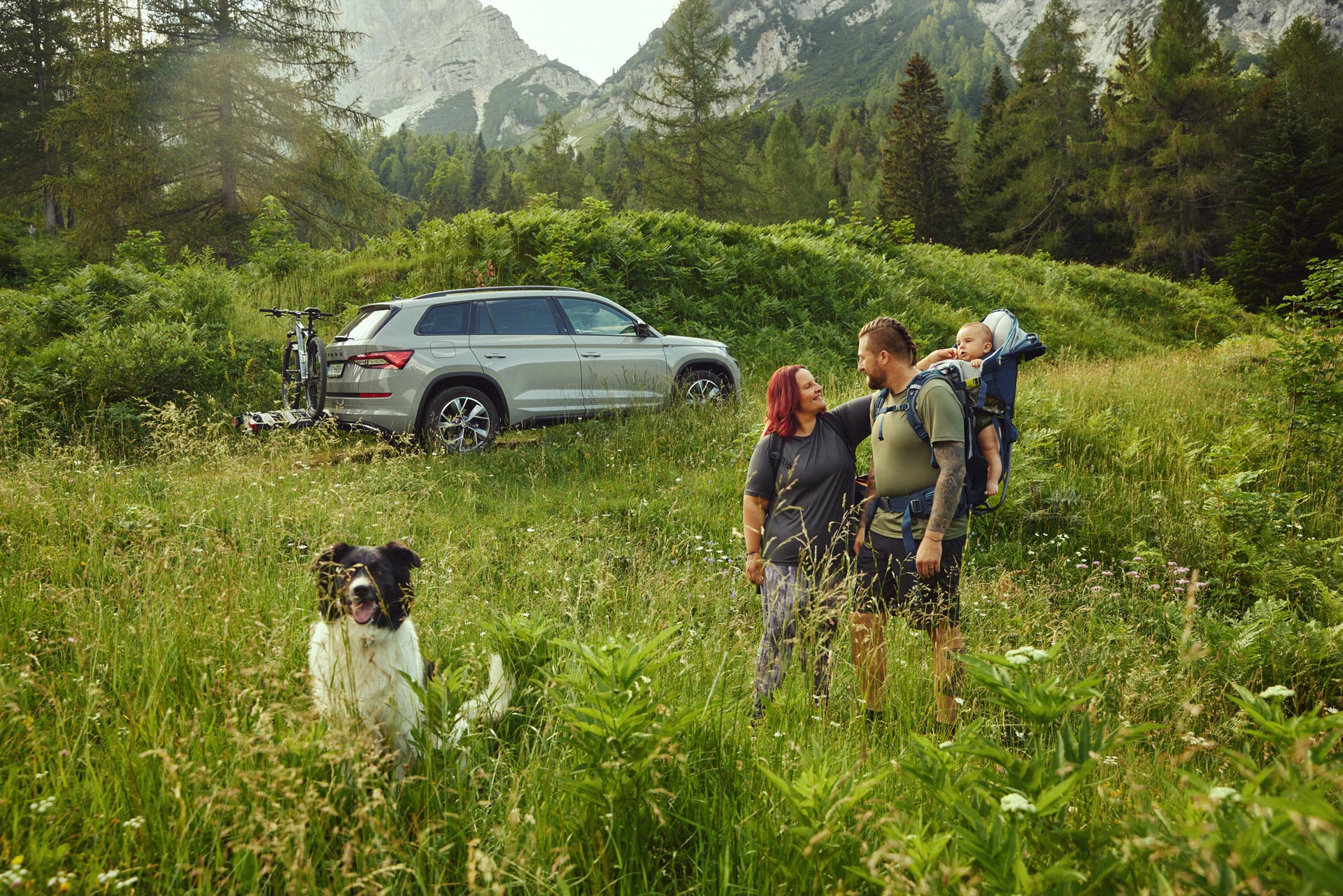 škoda, avtomobili, mojaskoda