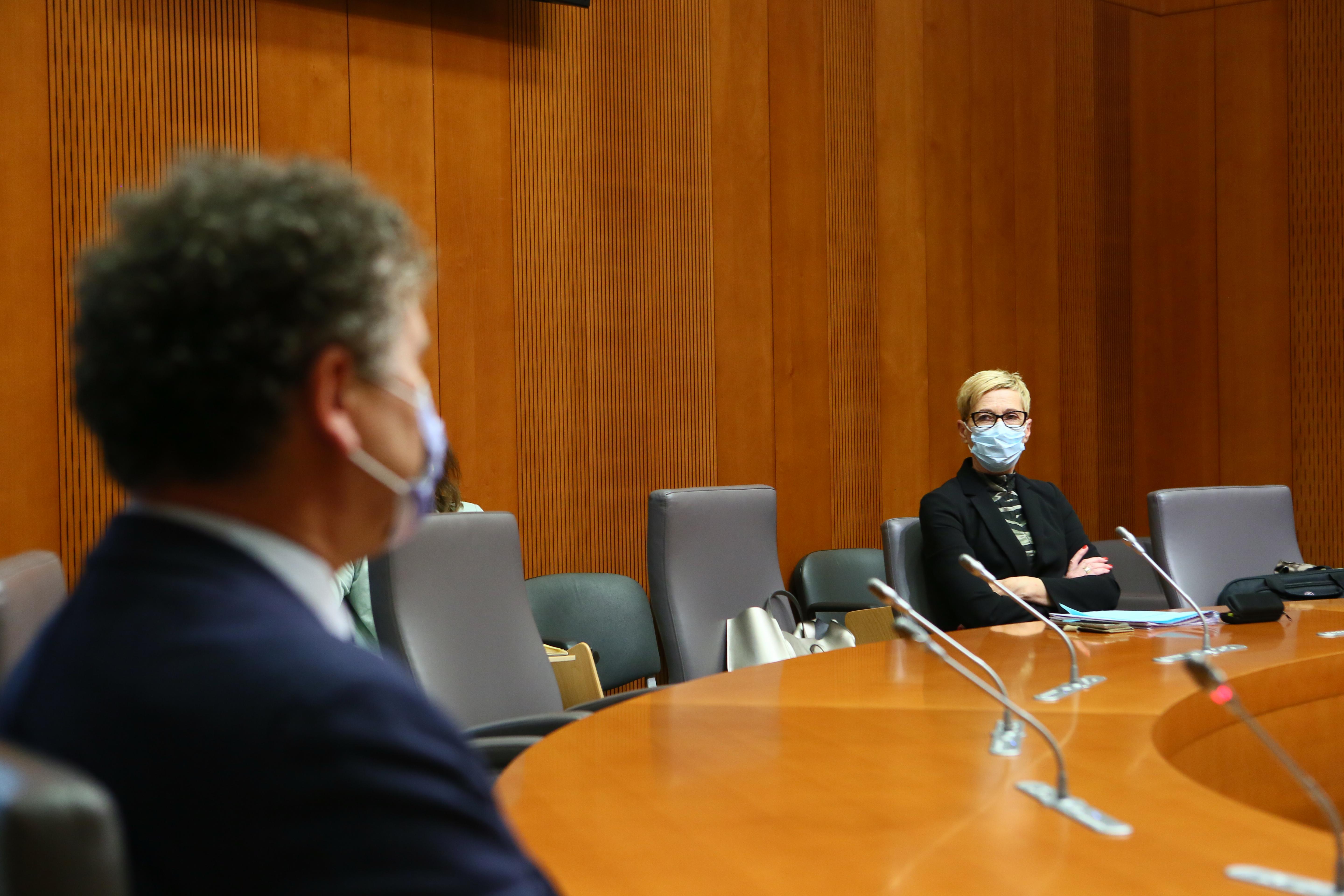 preiskovalna komisija koronavirus, Nada Brinovšek