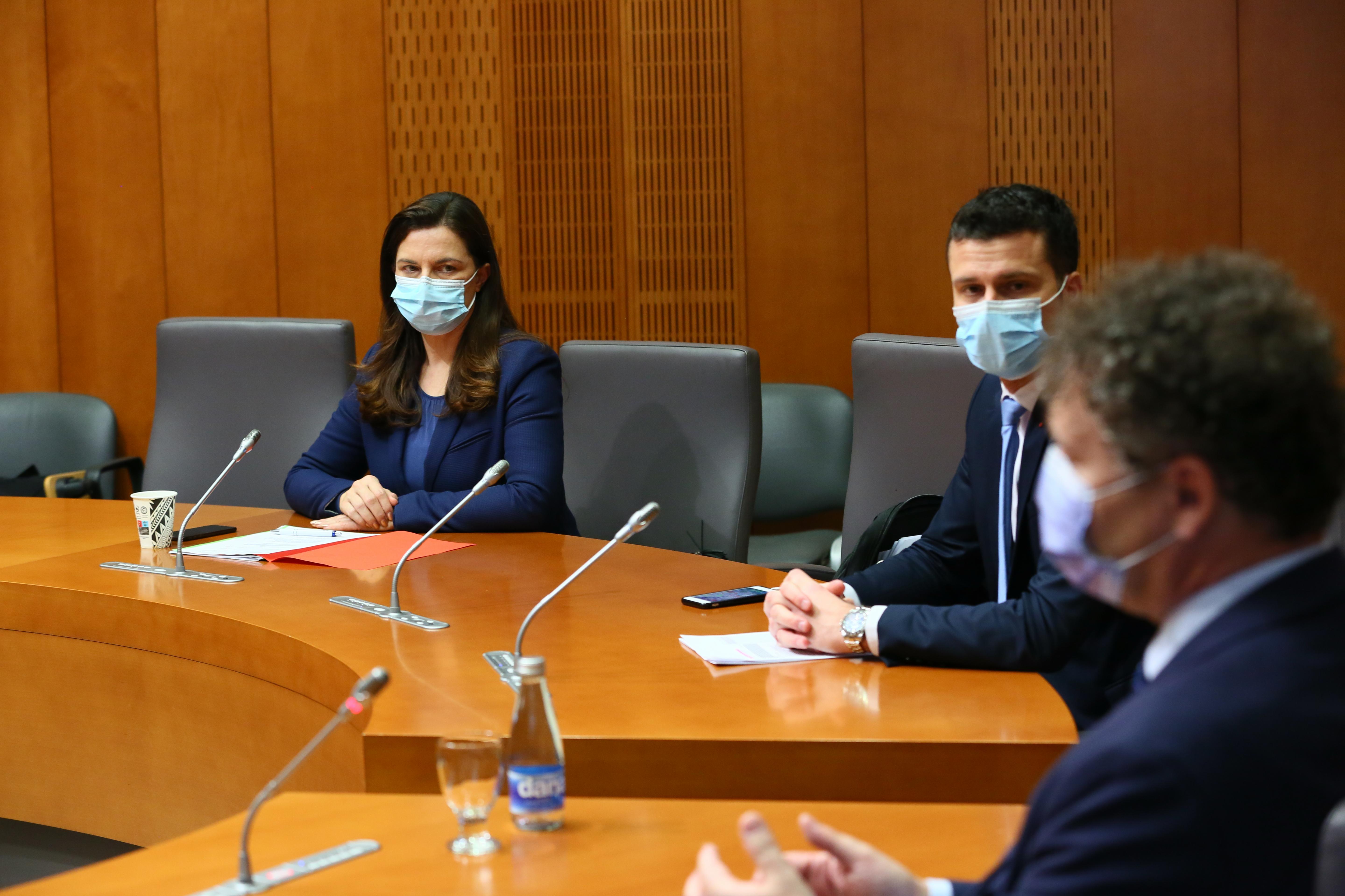 preiskovalna komisija koronavirus, Monika Gregorčič, Jani Prednik