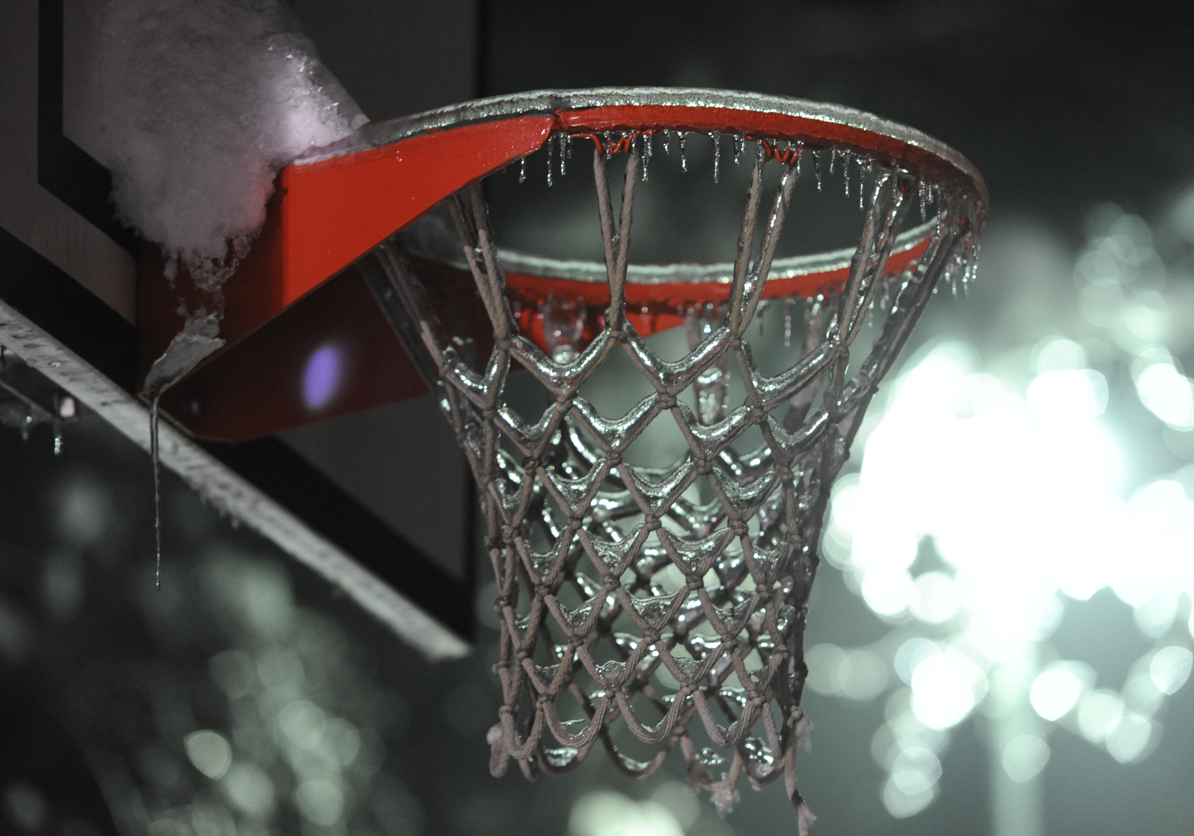 Milos Vujinovic/BOBO