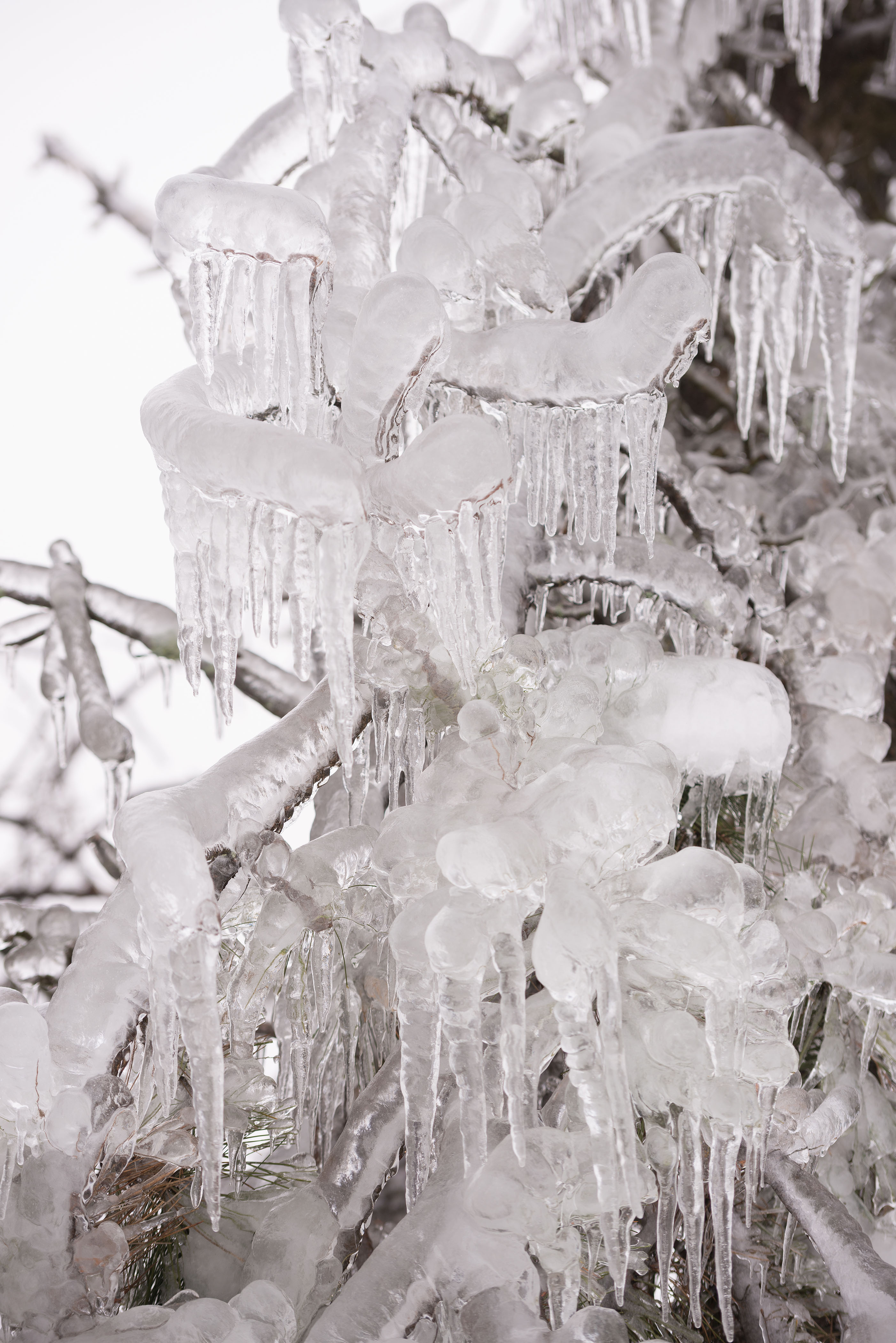 Ales Srnovrsnik/BOBO