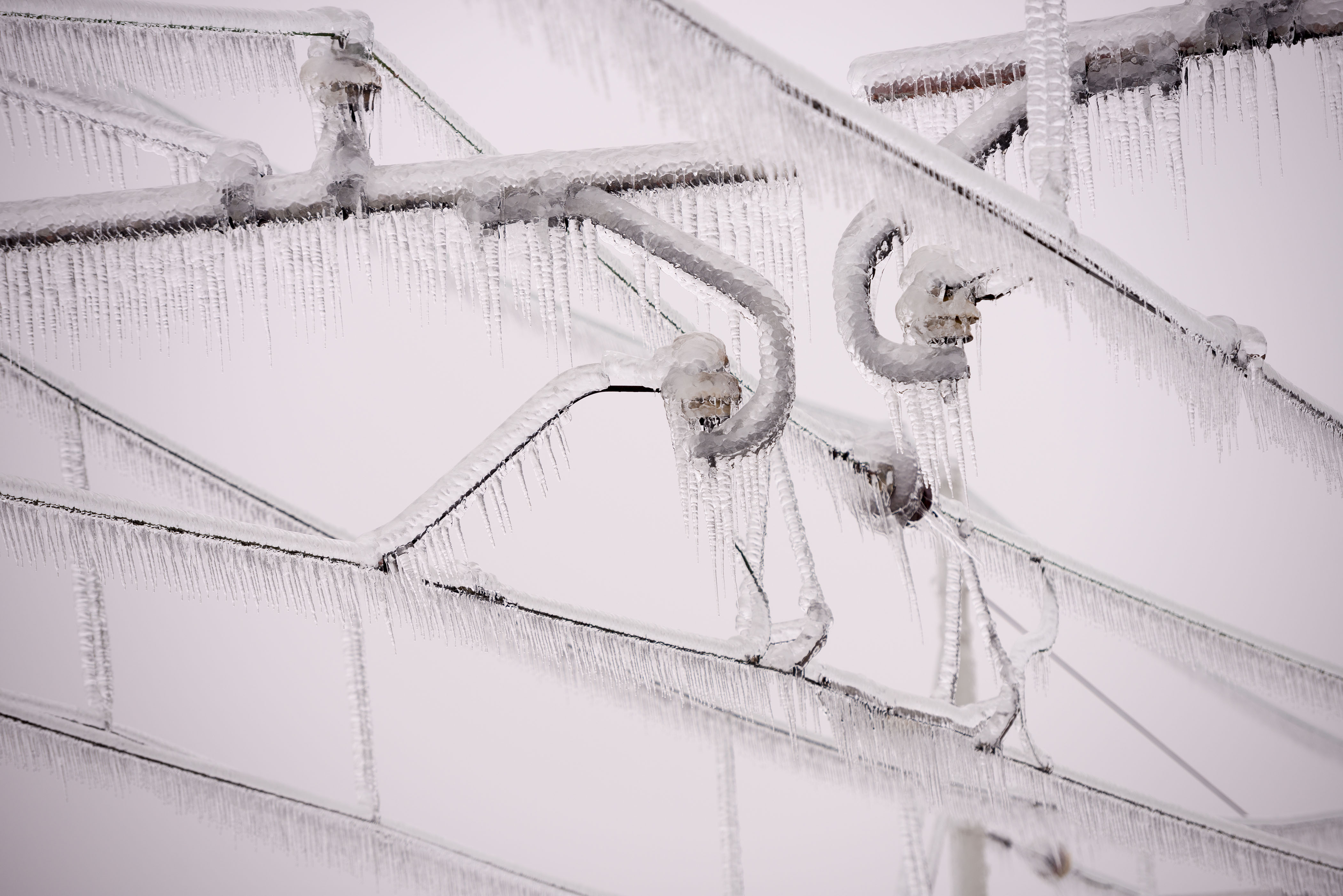 Ales Srnovrsnik/BOBO