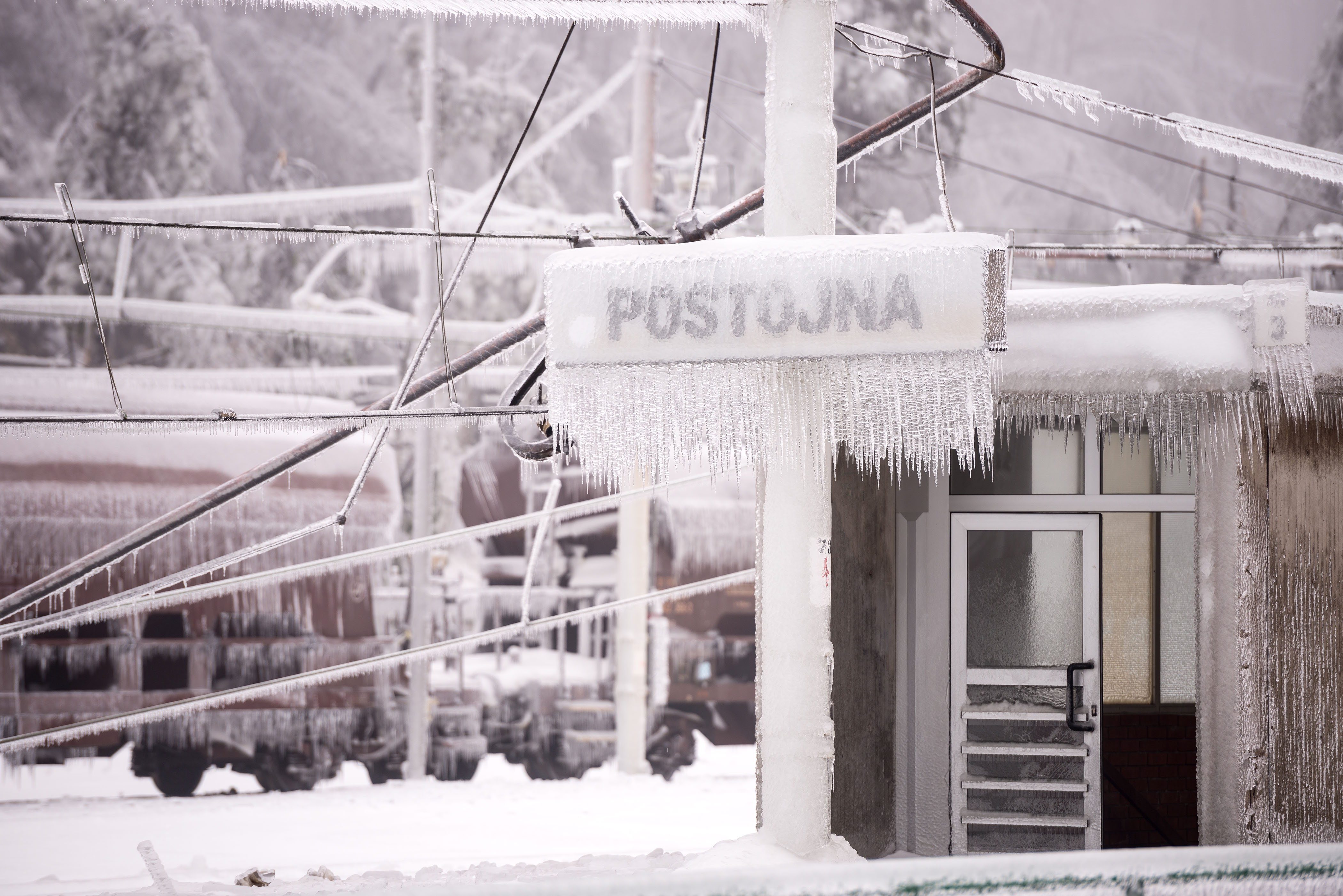 Ales Srnovrsnik/BOBO