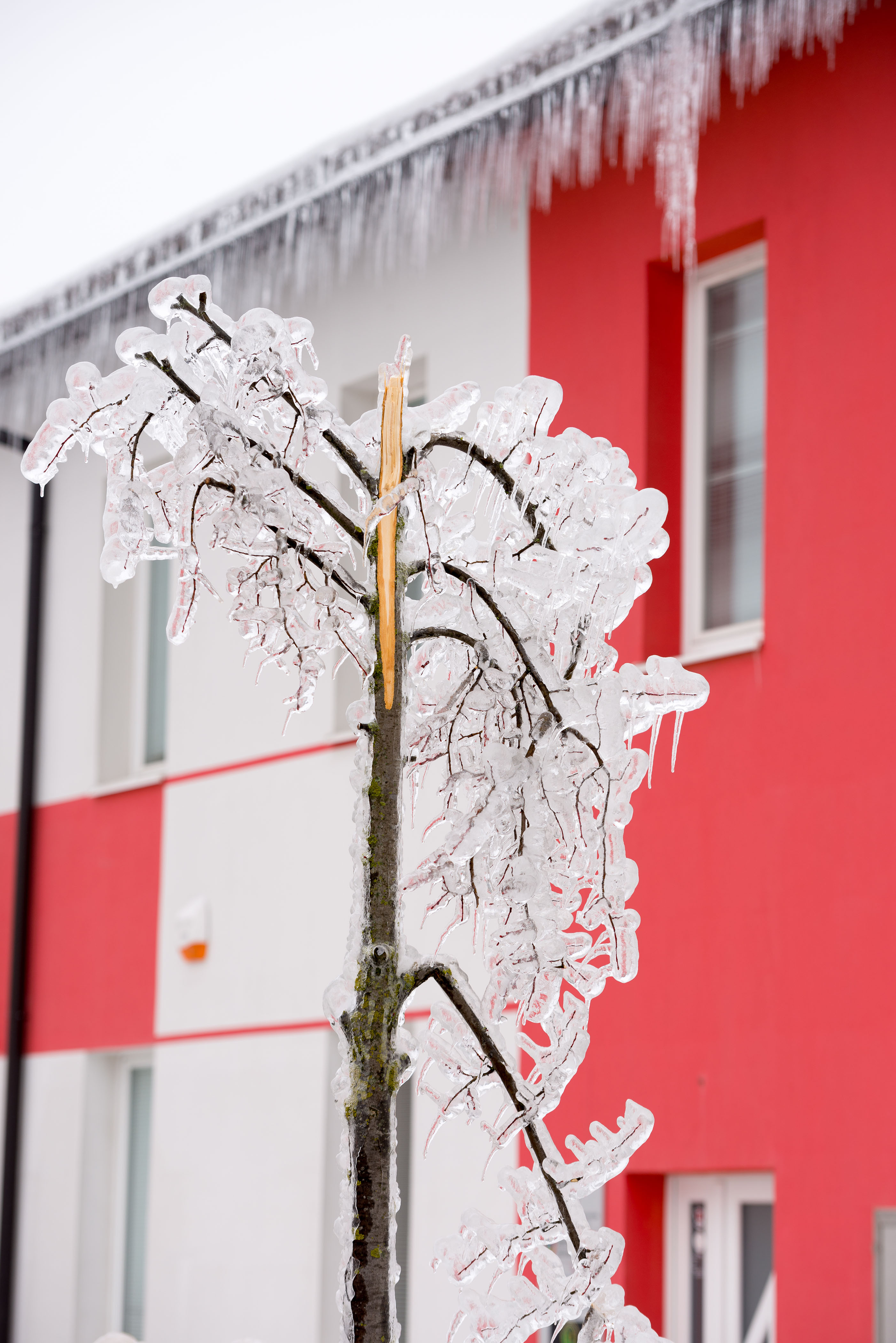 Ales Srnovrsnik/BOBO