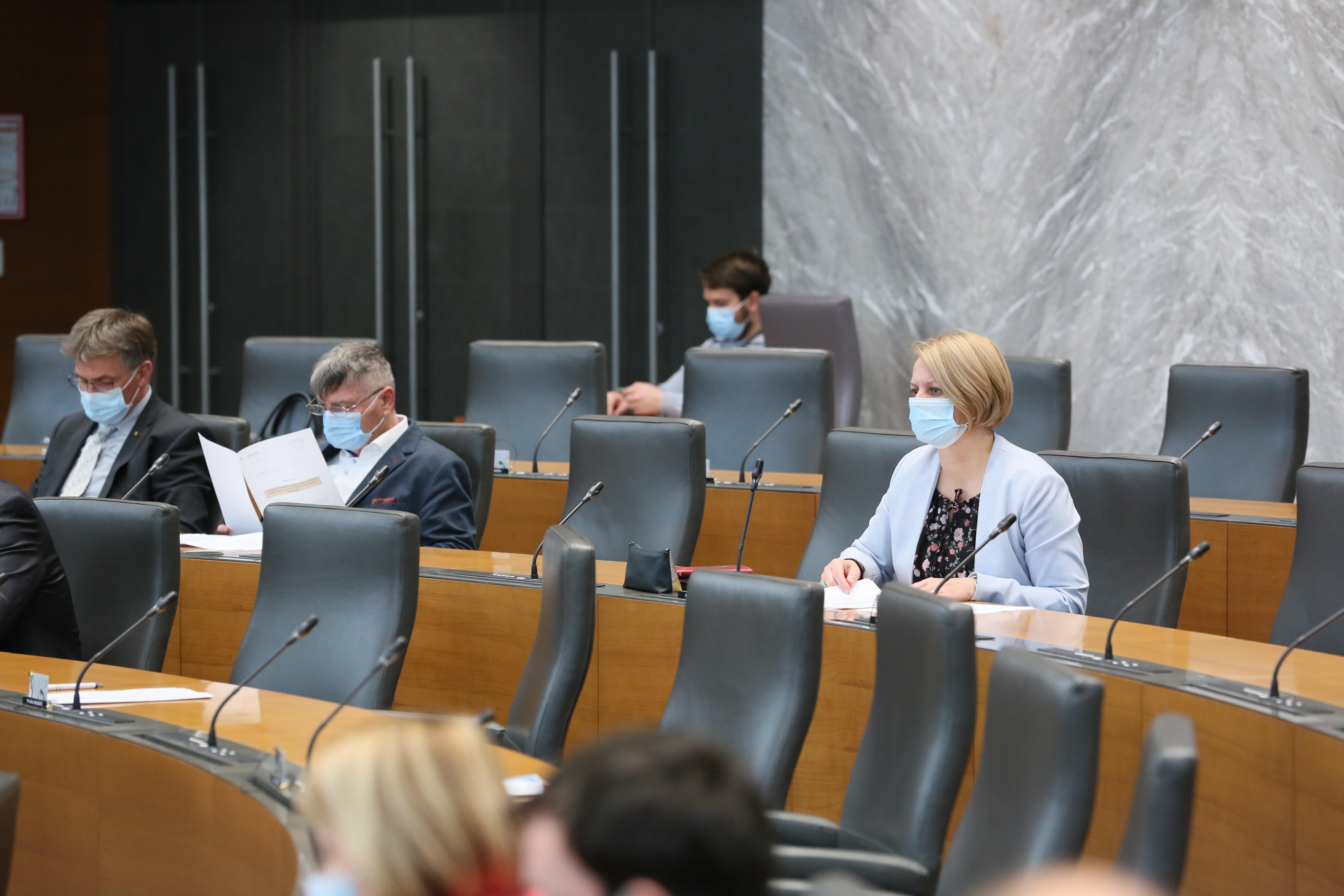 državni zbor, poslanci