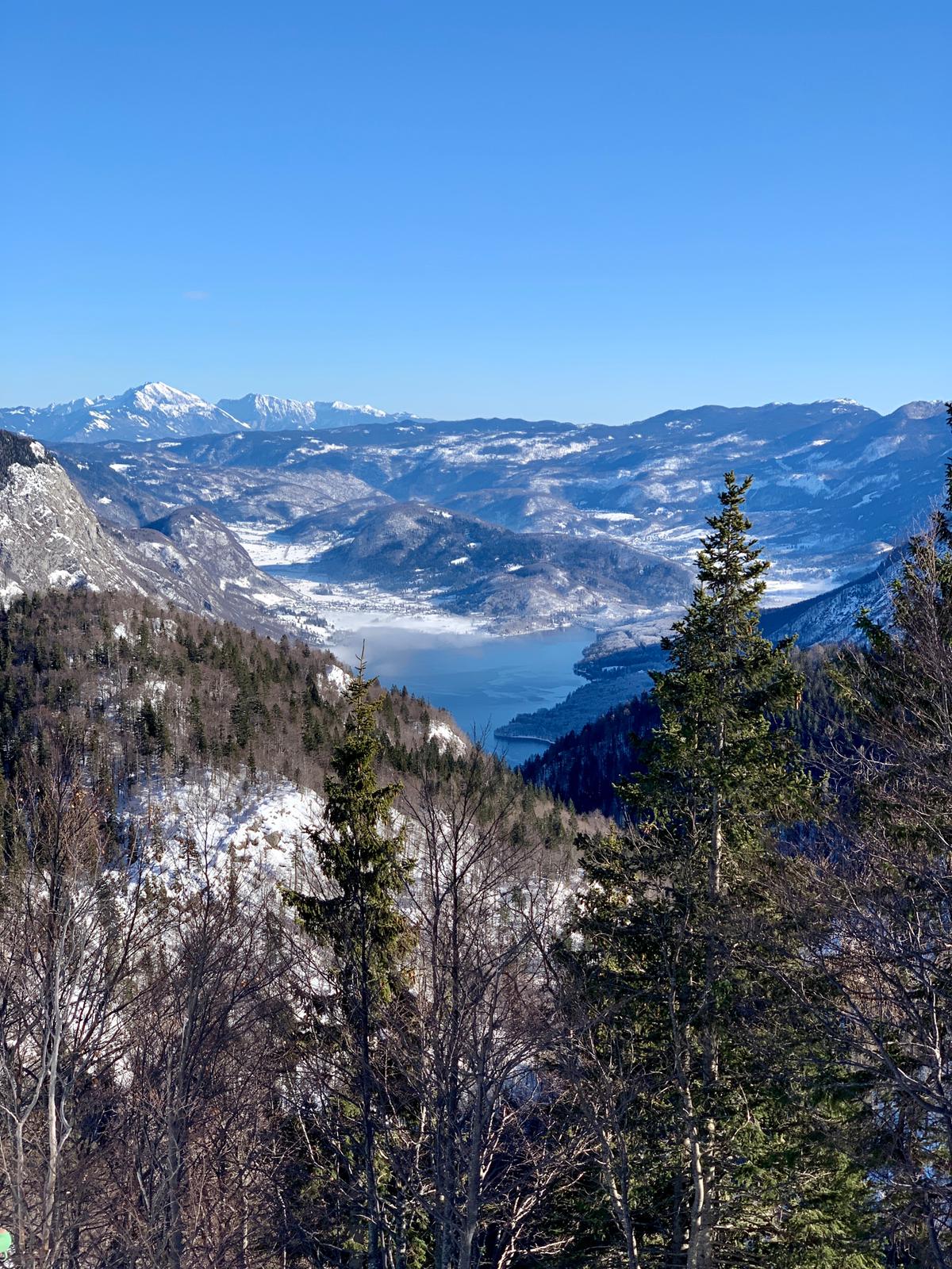 Pogled na Bohinjsko jezero