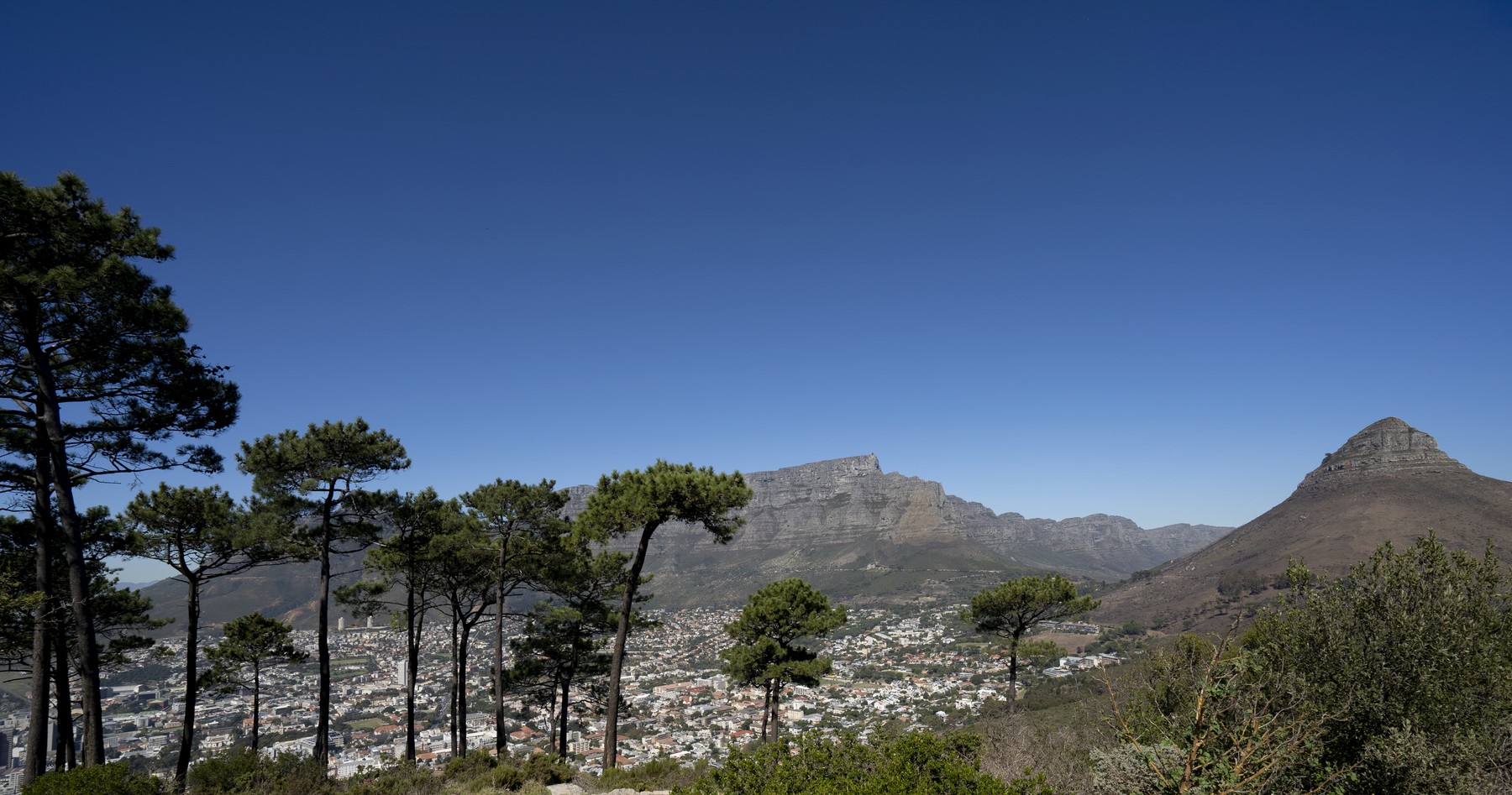 Južno afriška republika, Signal Hill Park, Cape Town