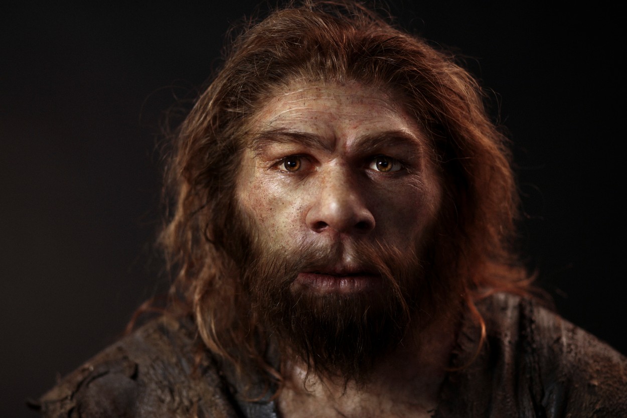 Neanderthal