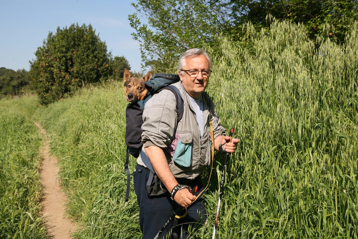 Viking v nahrbtniku, Tone Hočevar