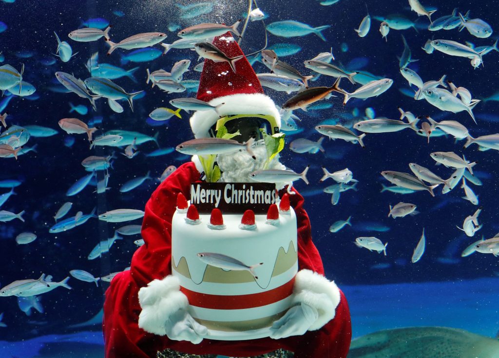 1640428037-2021-12-22T034510Z_1844992157_RC2CJR9F53CF_RTRMADP_3_CHRISTMAS-SEASON-JAPAN-AQUARIUM-1024x736.jpg
