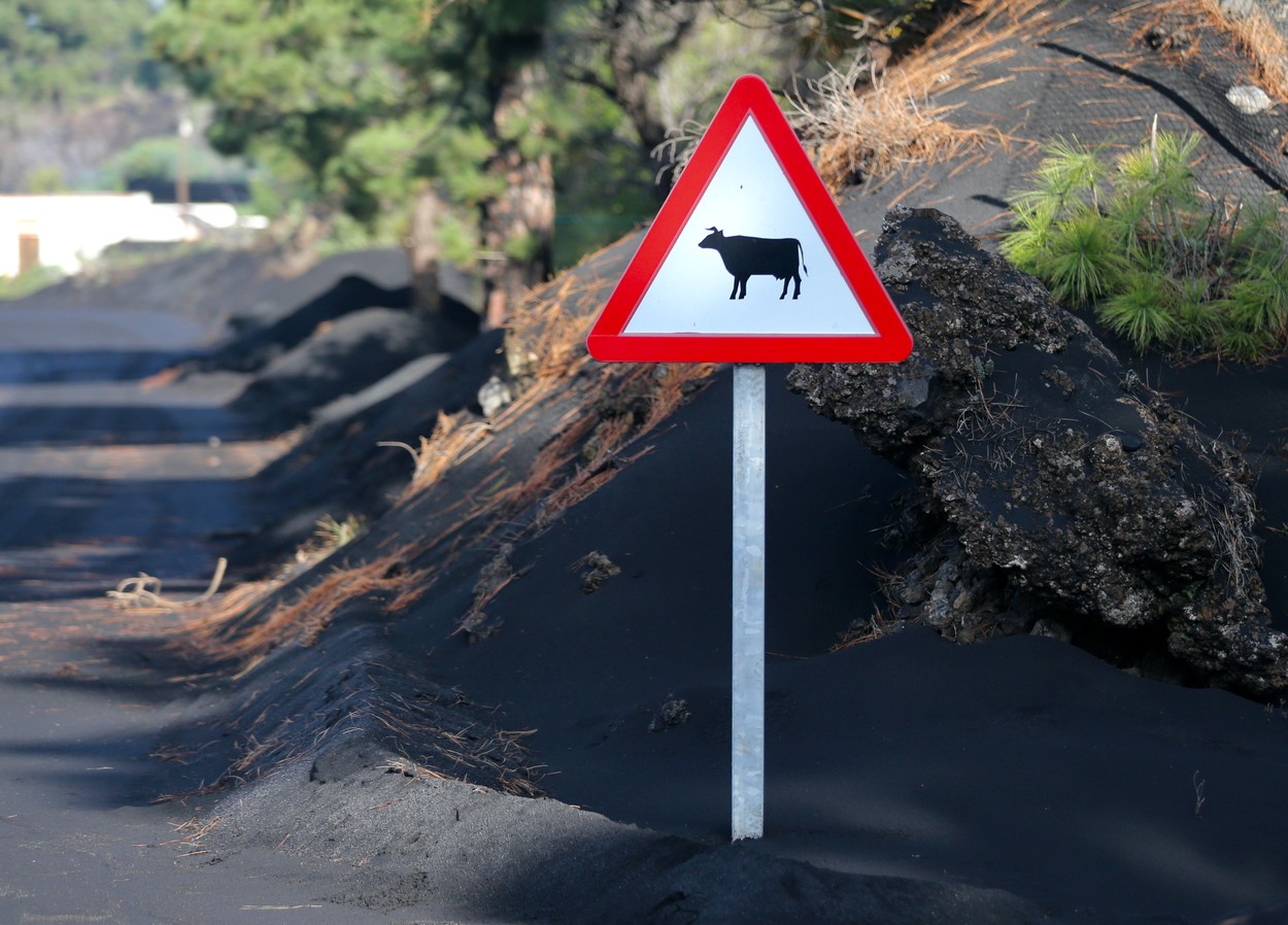 la palma, vulkan, izbruh, posledice