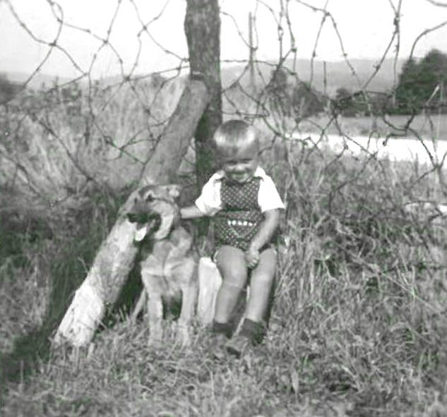 Tone Hočevar in Runo