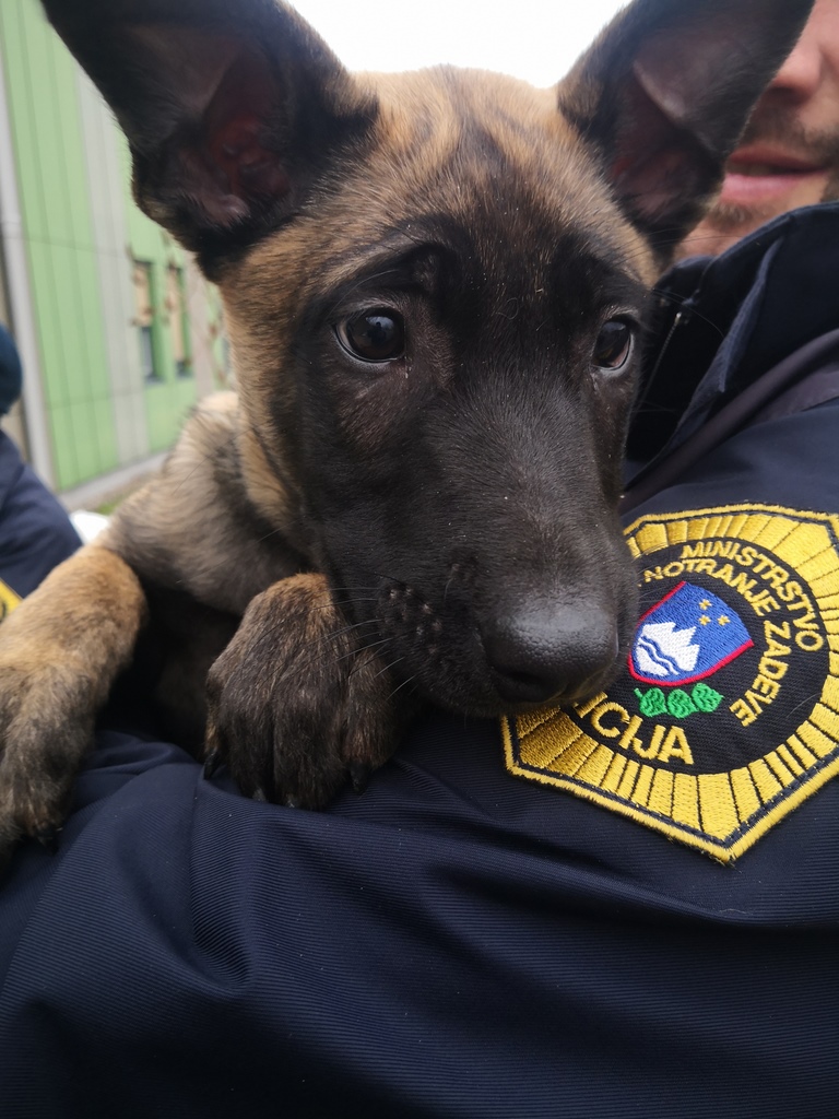 Generalna policijska uprava