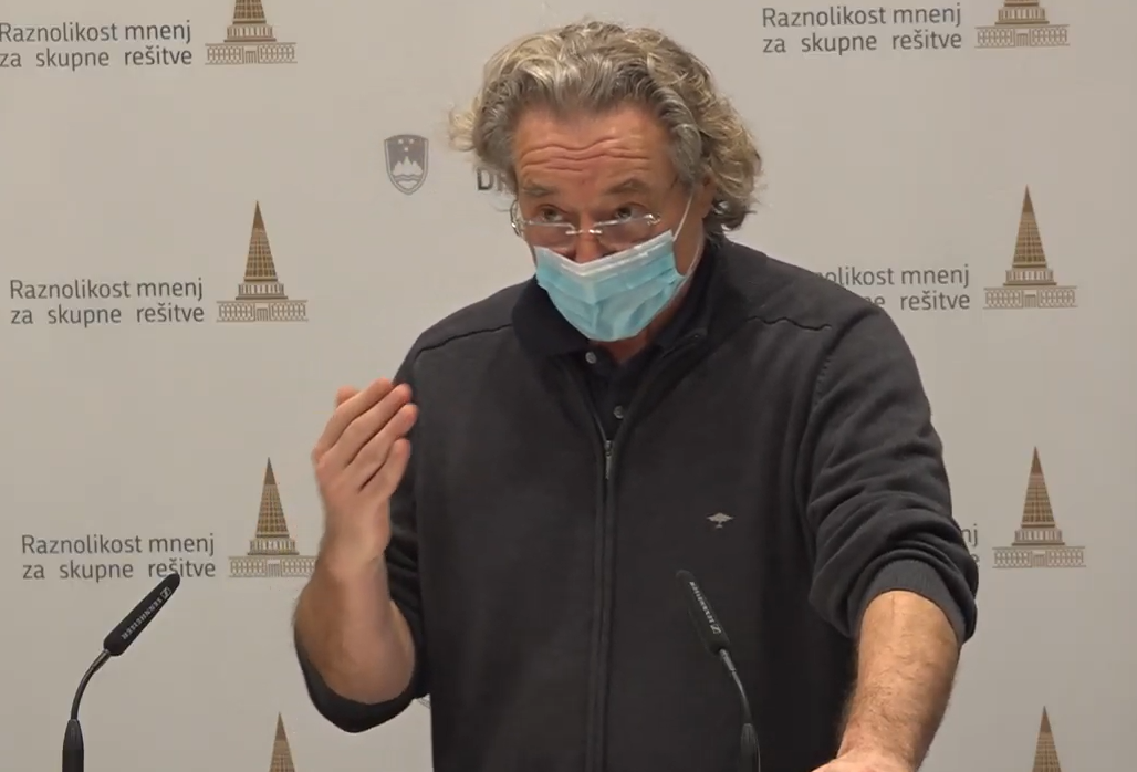 Branimir Štrukelj, državni svet