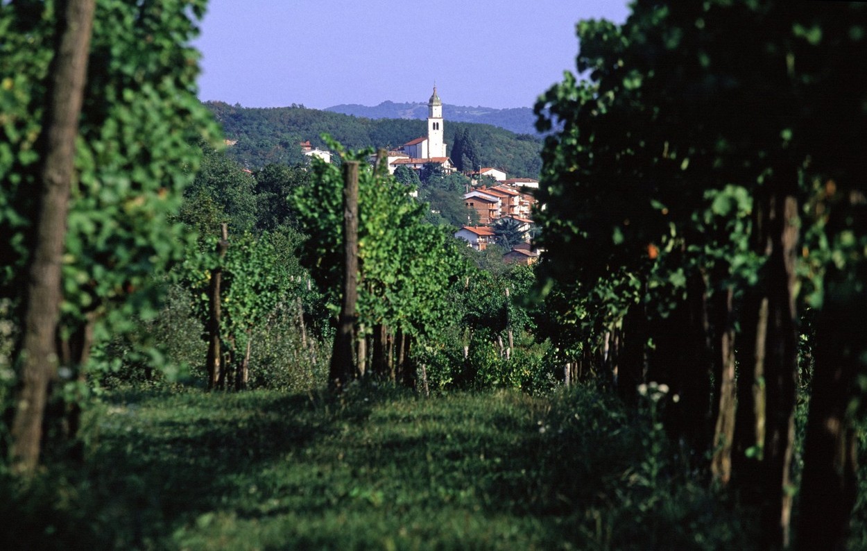 1640779261-Vipava.jpg
