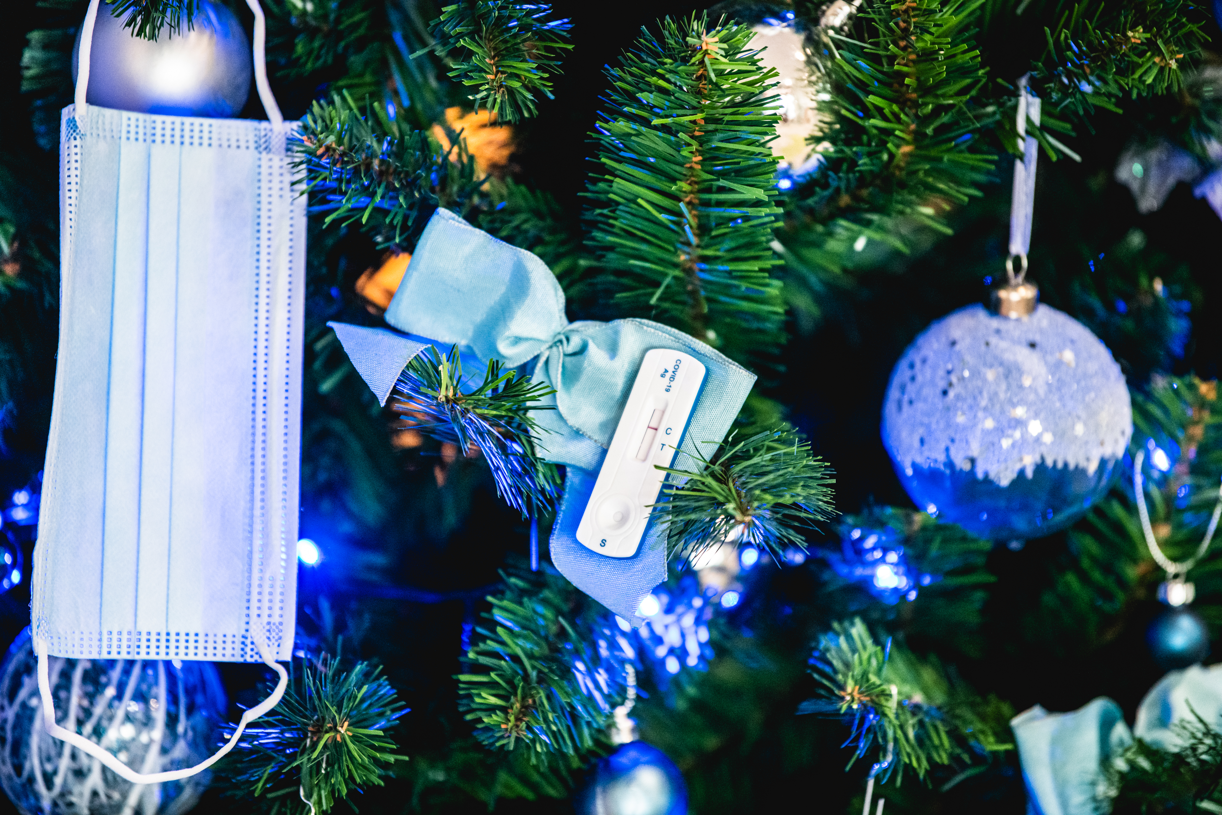 covid novo leto 2022