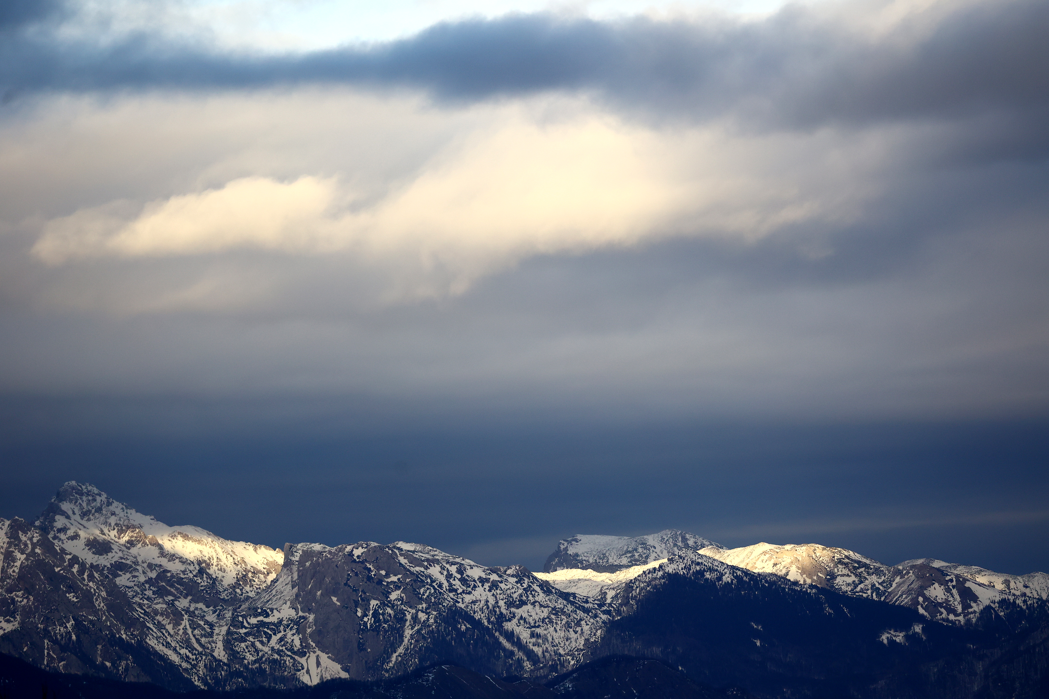 Borut Živulovič/BOBO