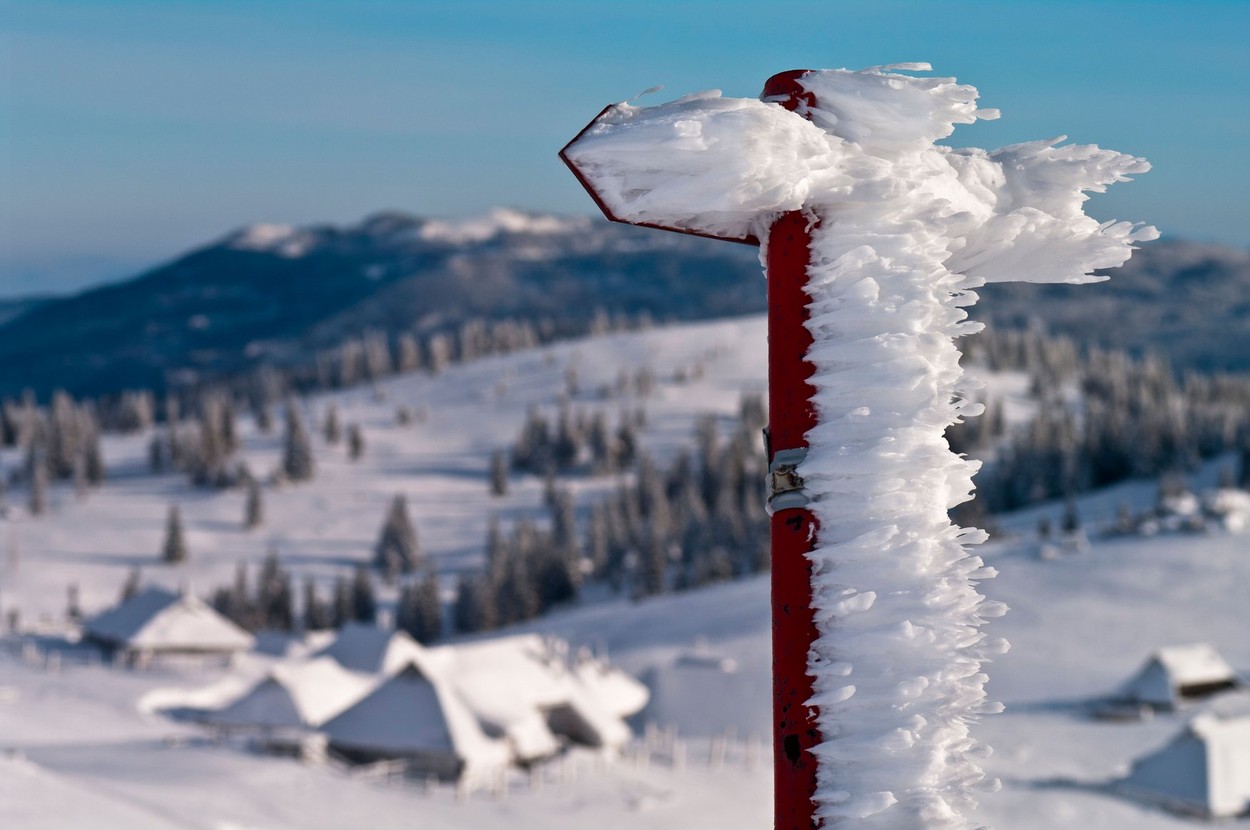 sneg, velika planina