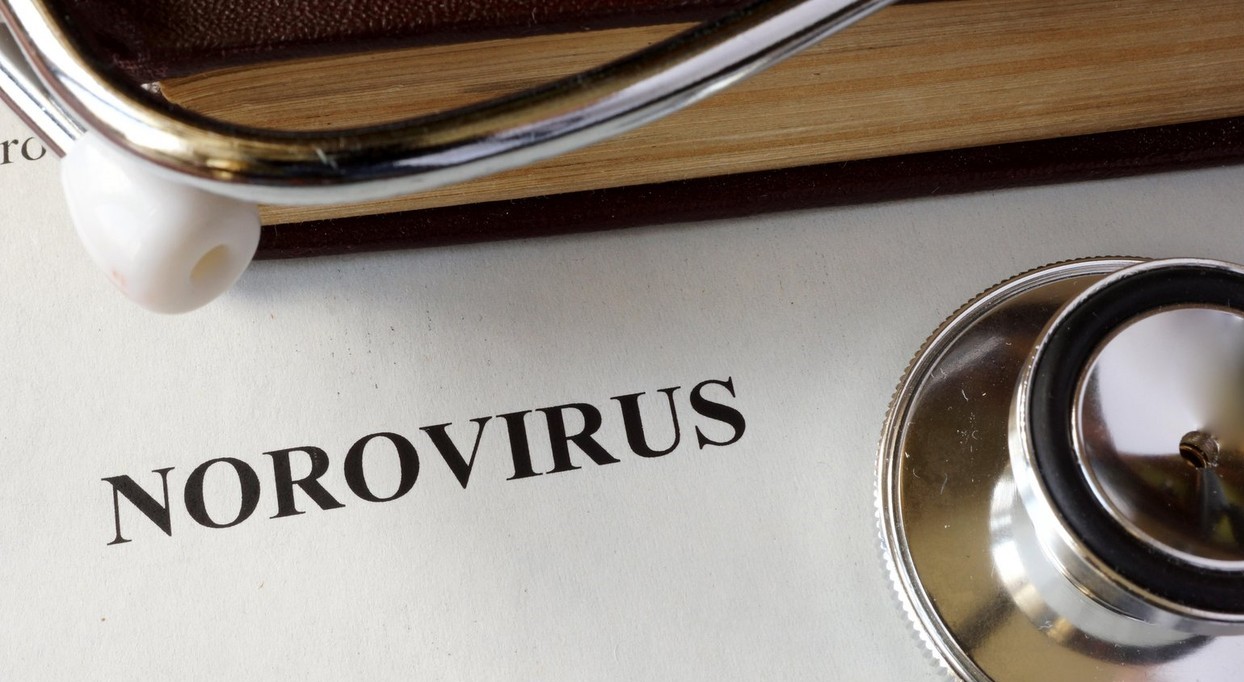 množična zastrupitev, norovirus