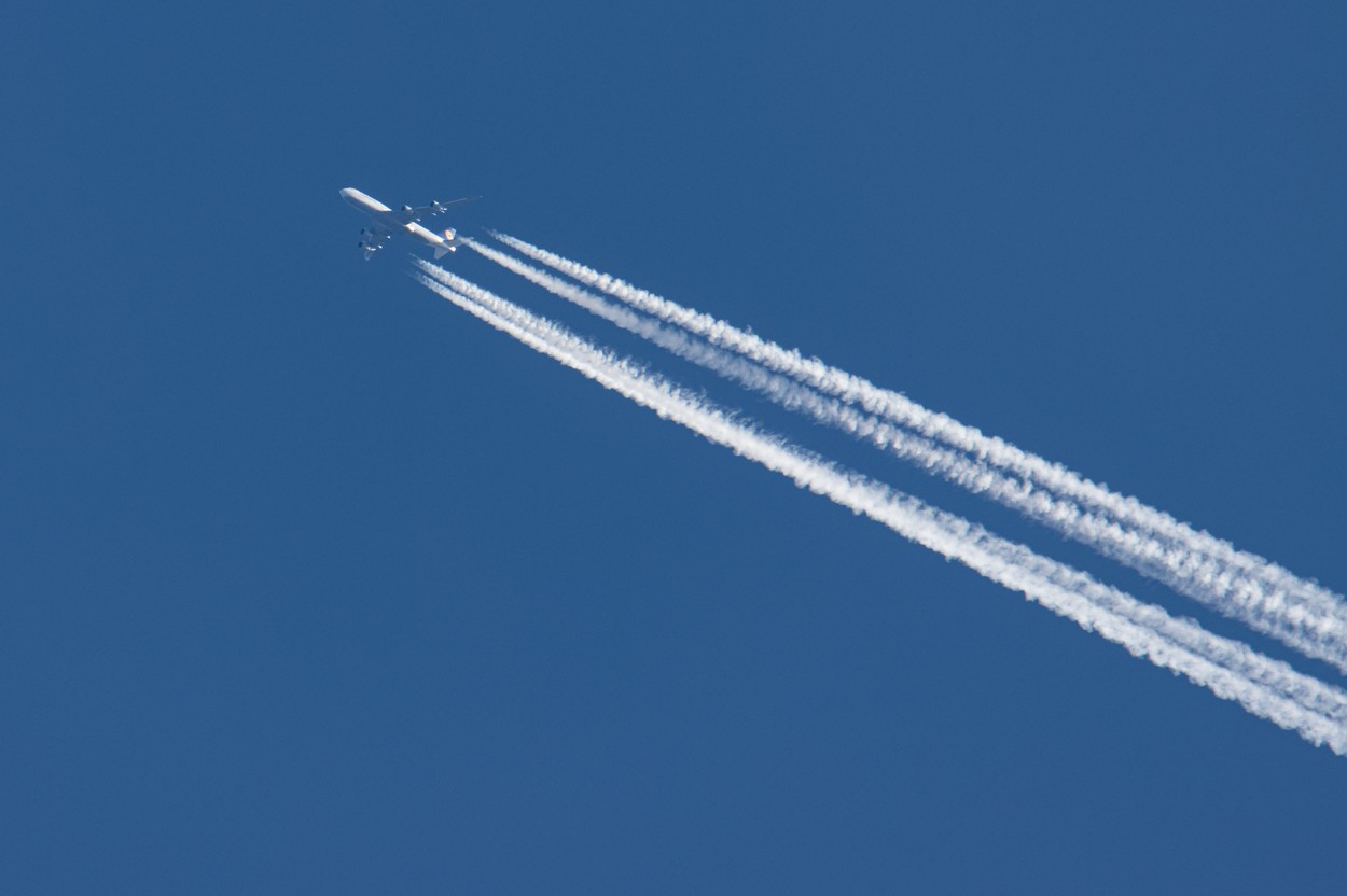 letalo, letalski prevoznik