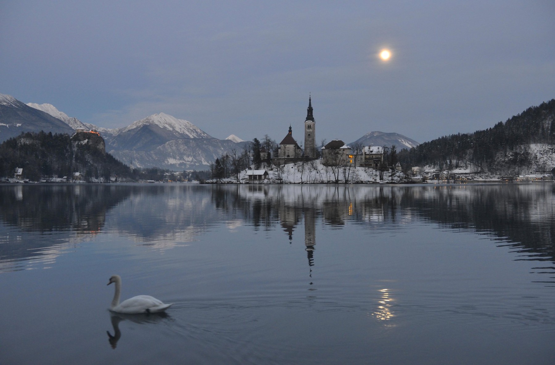 mraz, Bled