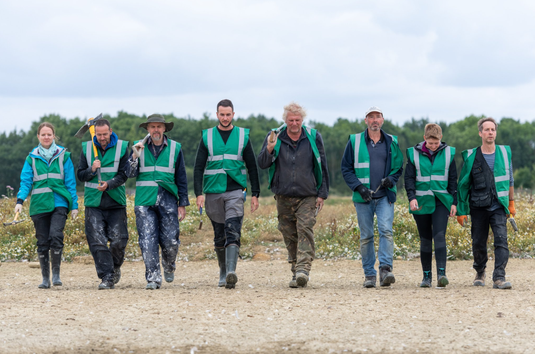 dinozaver, okostje, arheologija