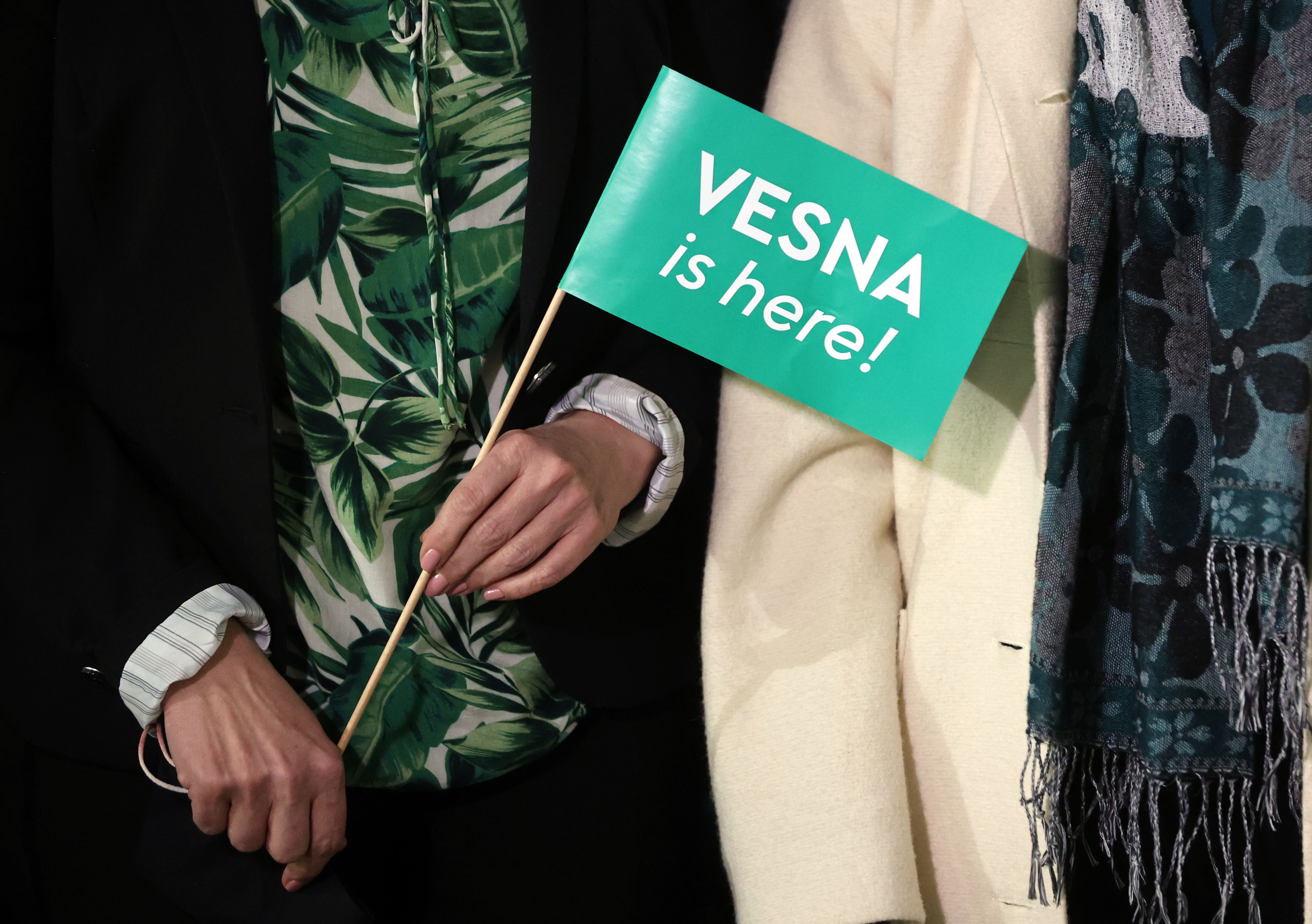 Vesna, stranka, kongres