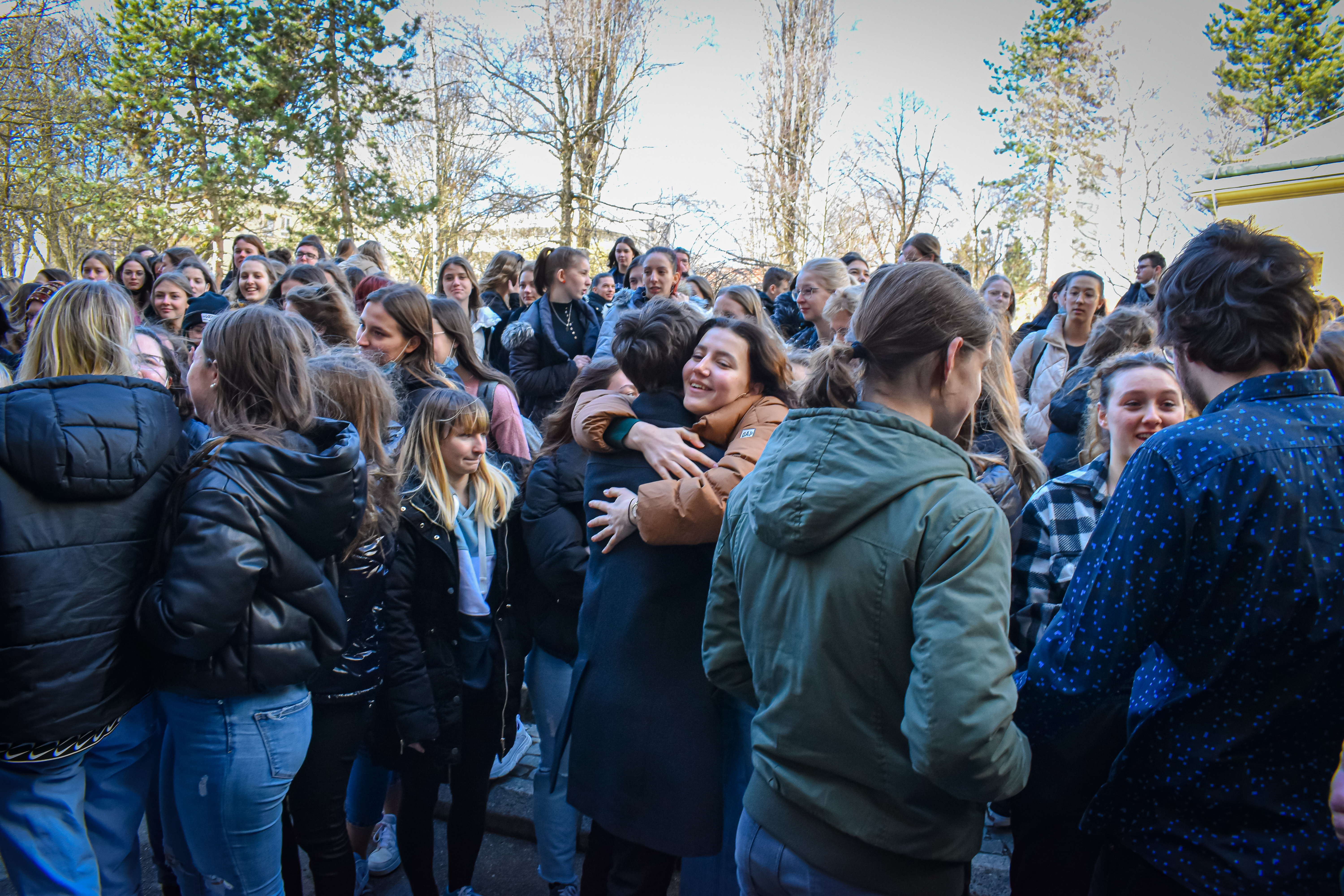 Gimnazija Celje - Center 