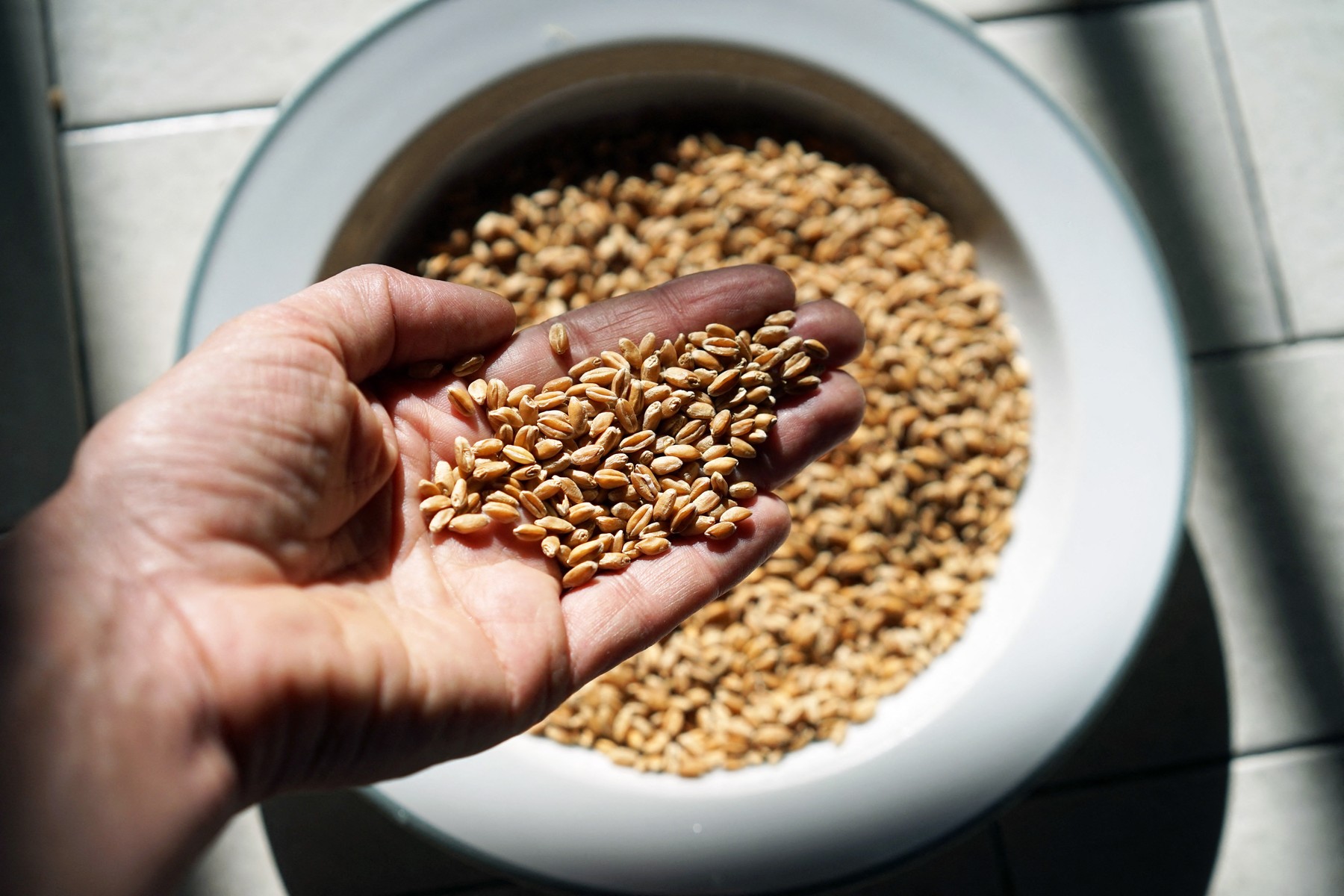 profimedia-0664633972