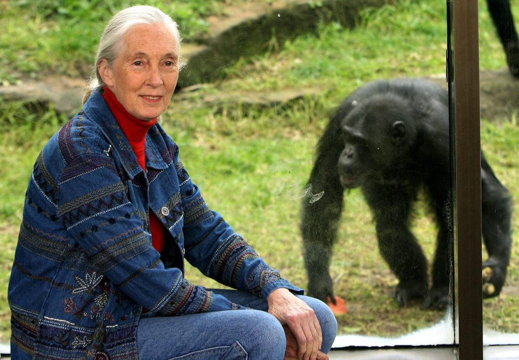 1646843520-Jane-Goodall-1024x711.jpg