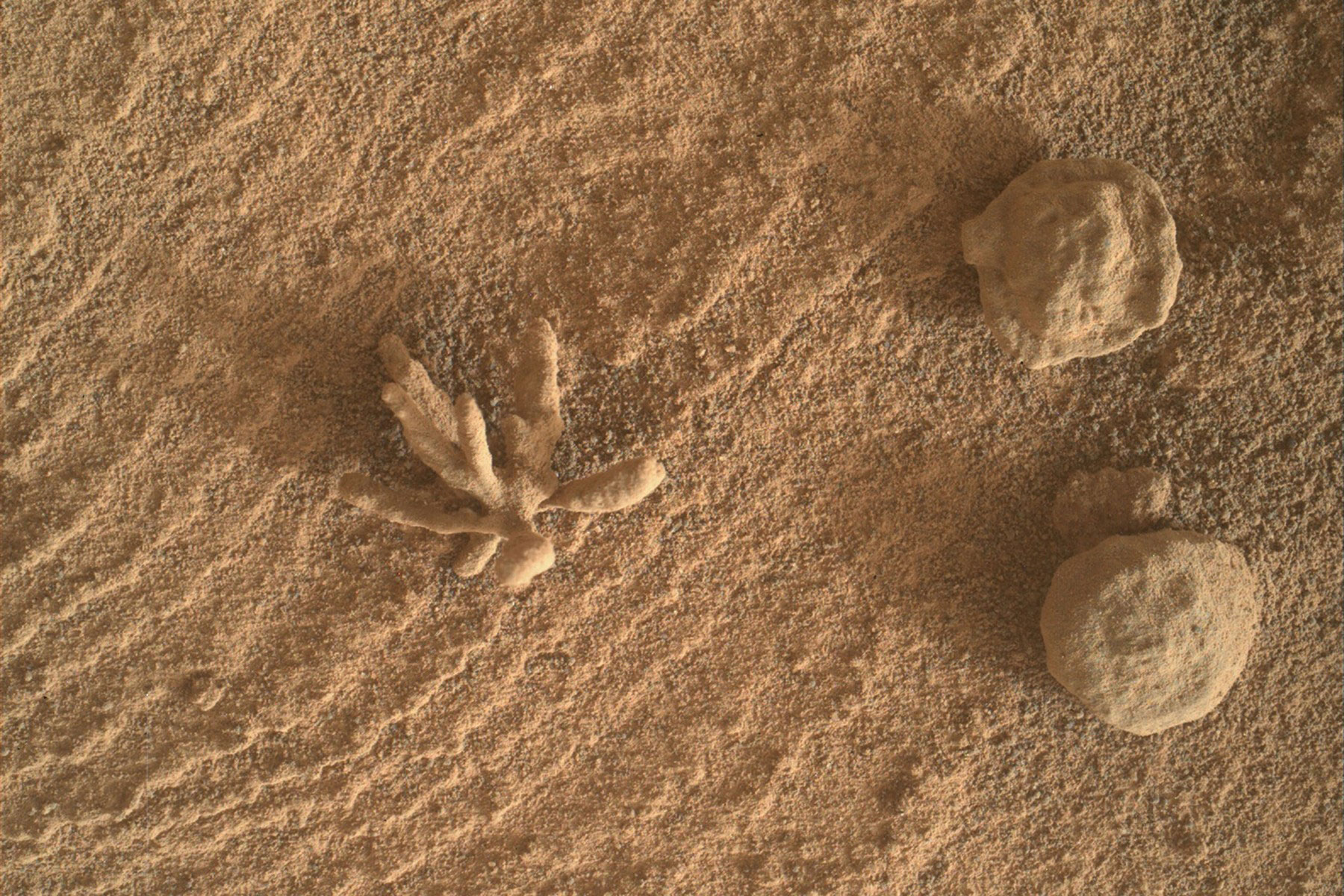 Curiosity, Mars, mineral