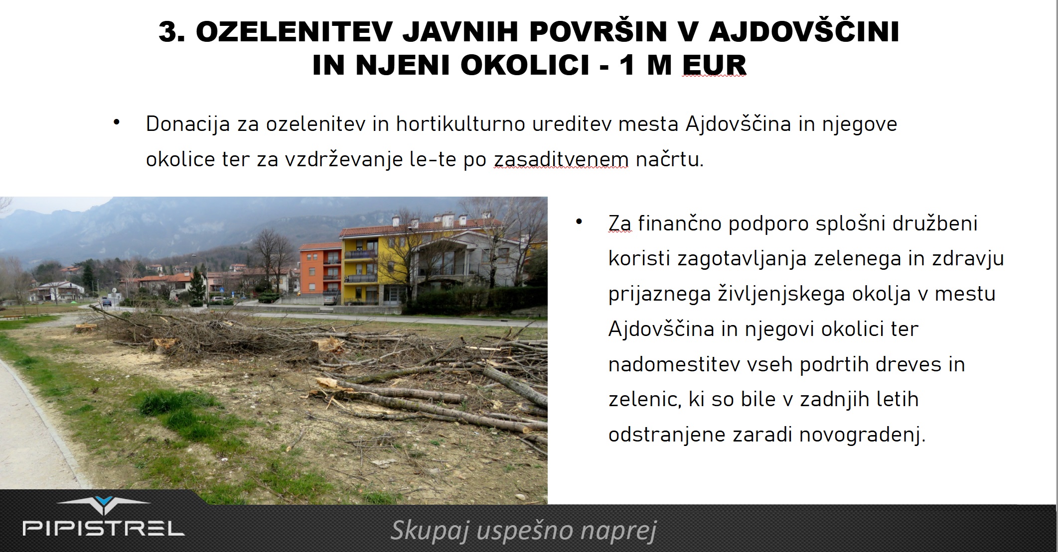 ozelenitev-pipistrel