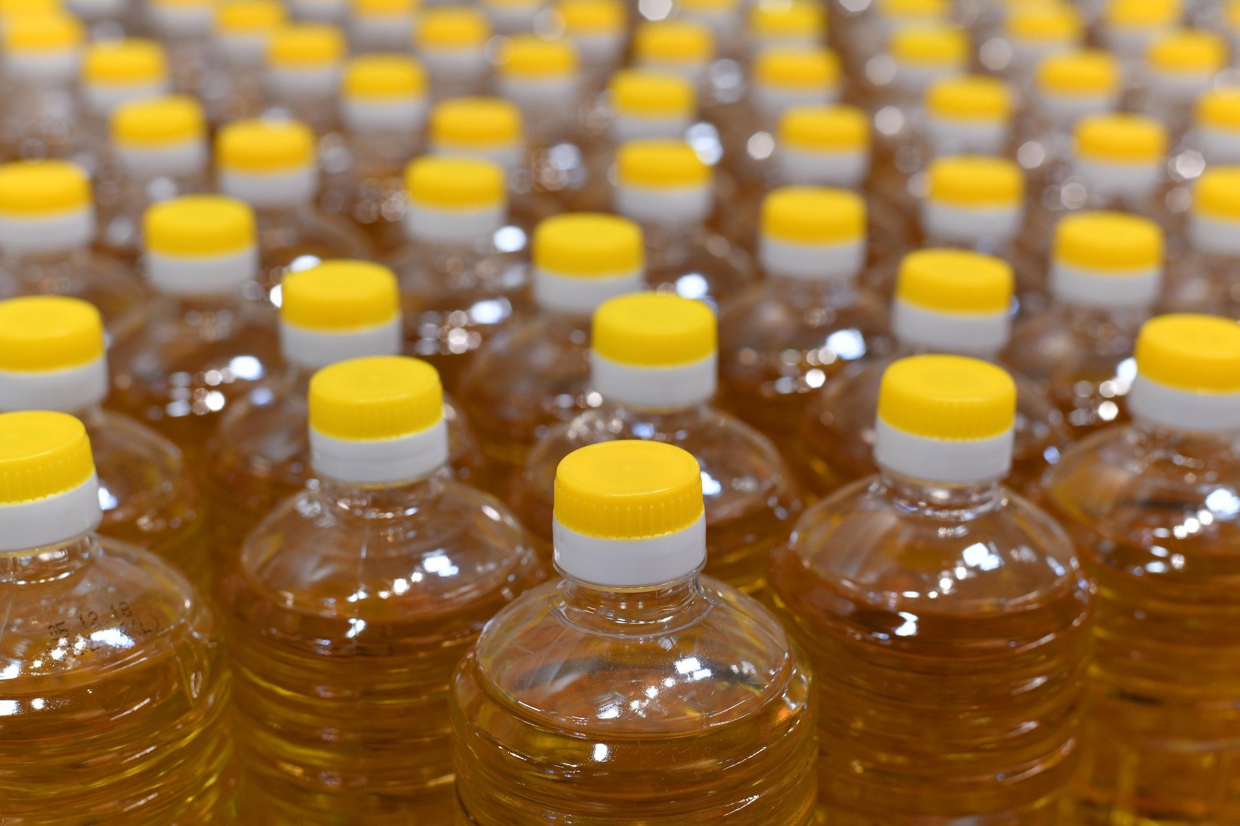Lot of plastic bottles with sunflower oil