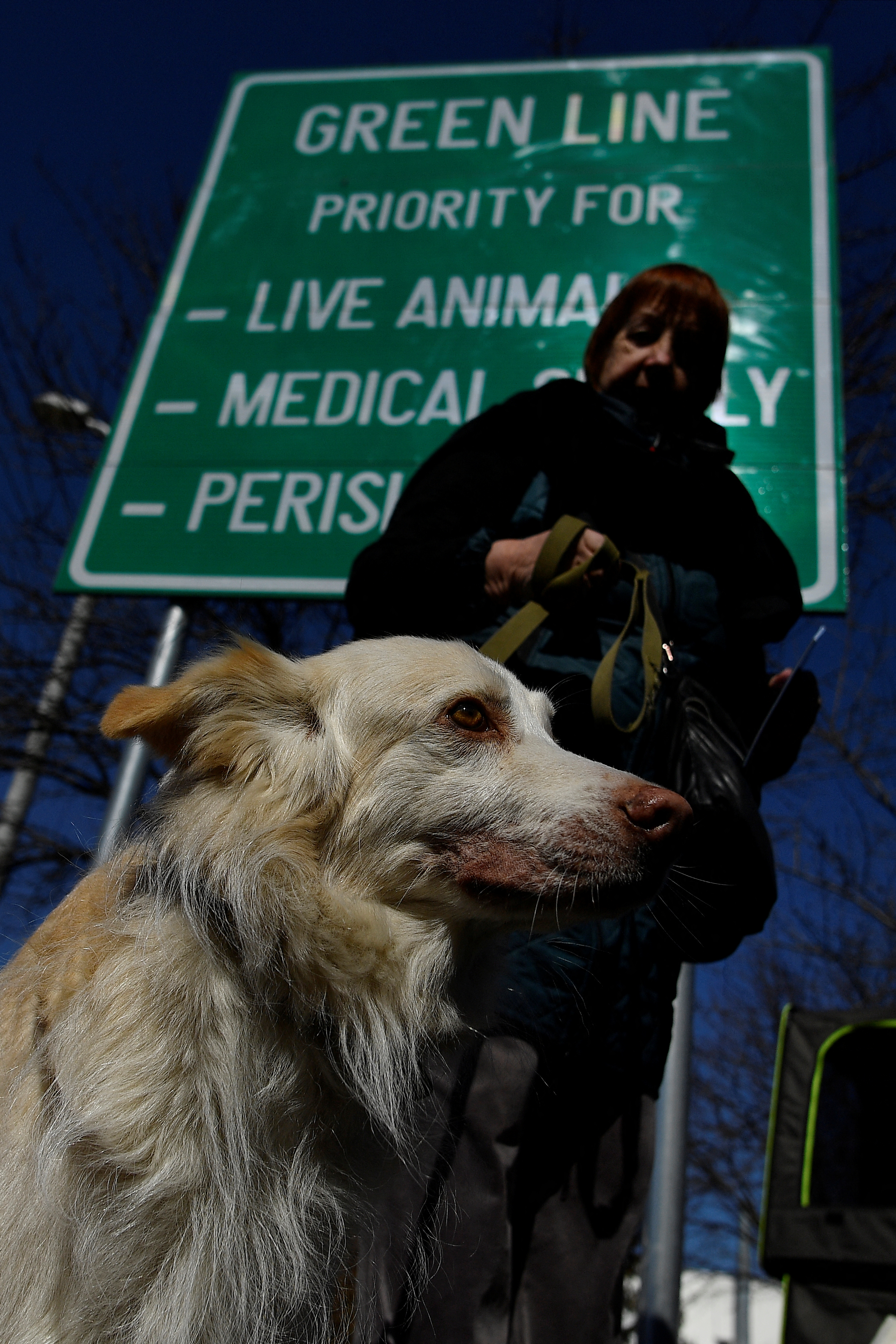 Clodagh Kilcoyne/REUTERS
