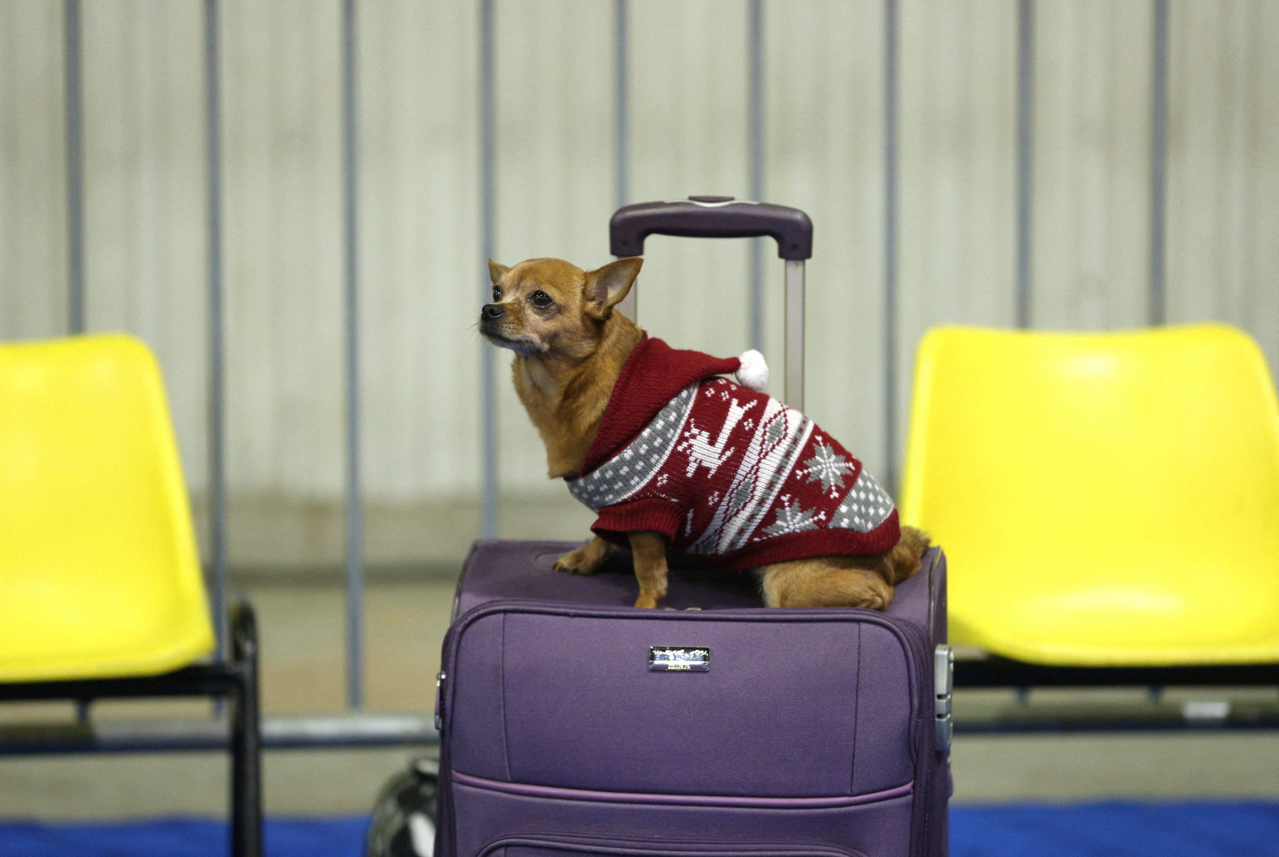 Bernadett Szabo/REUTERS