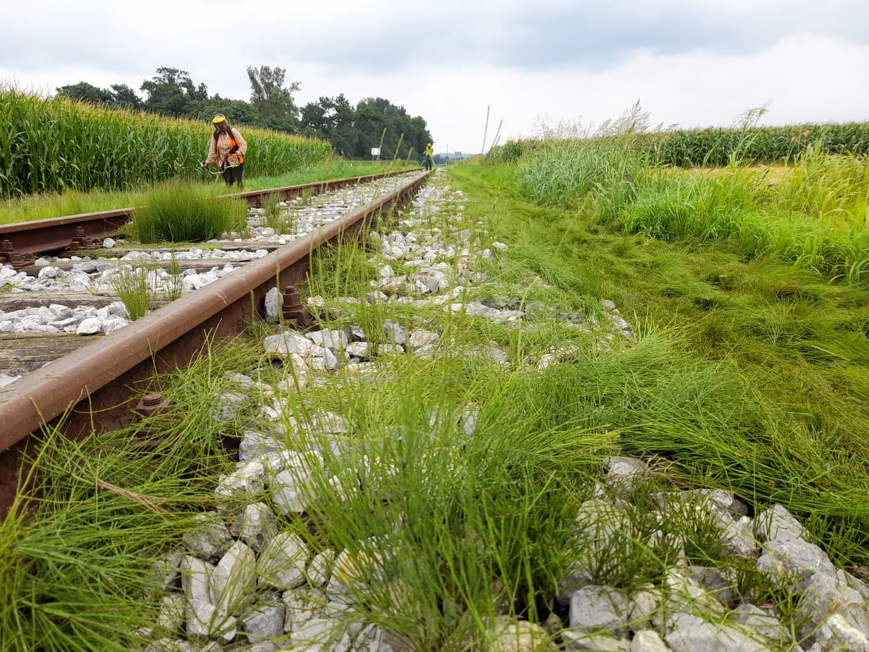 Slovenske železnice košnja