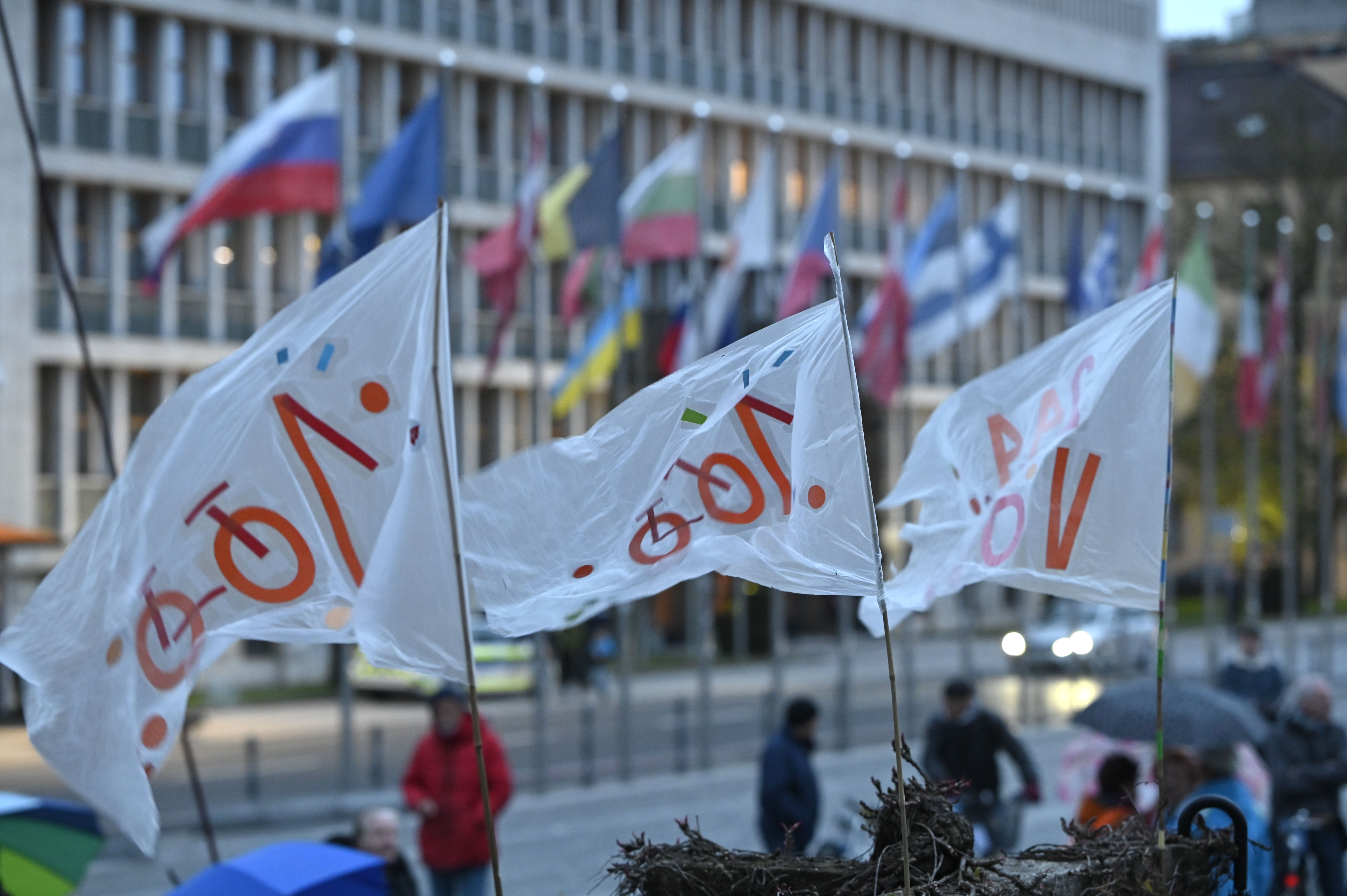 Petkov protest proti vladi