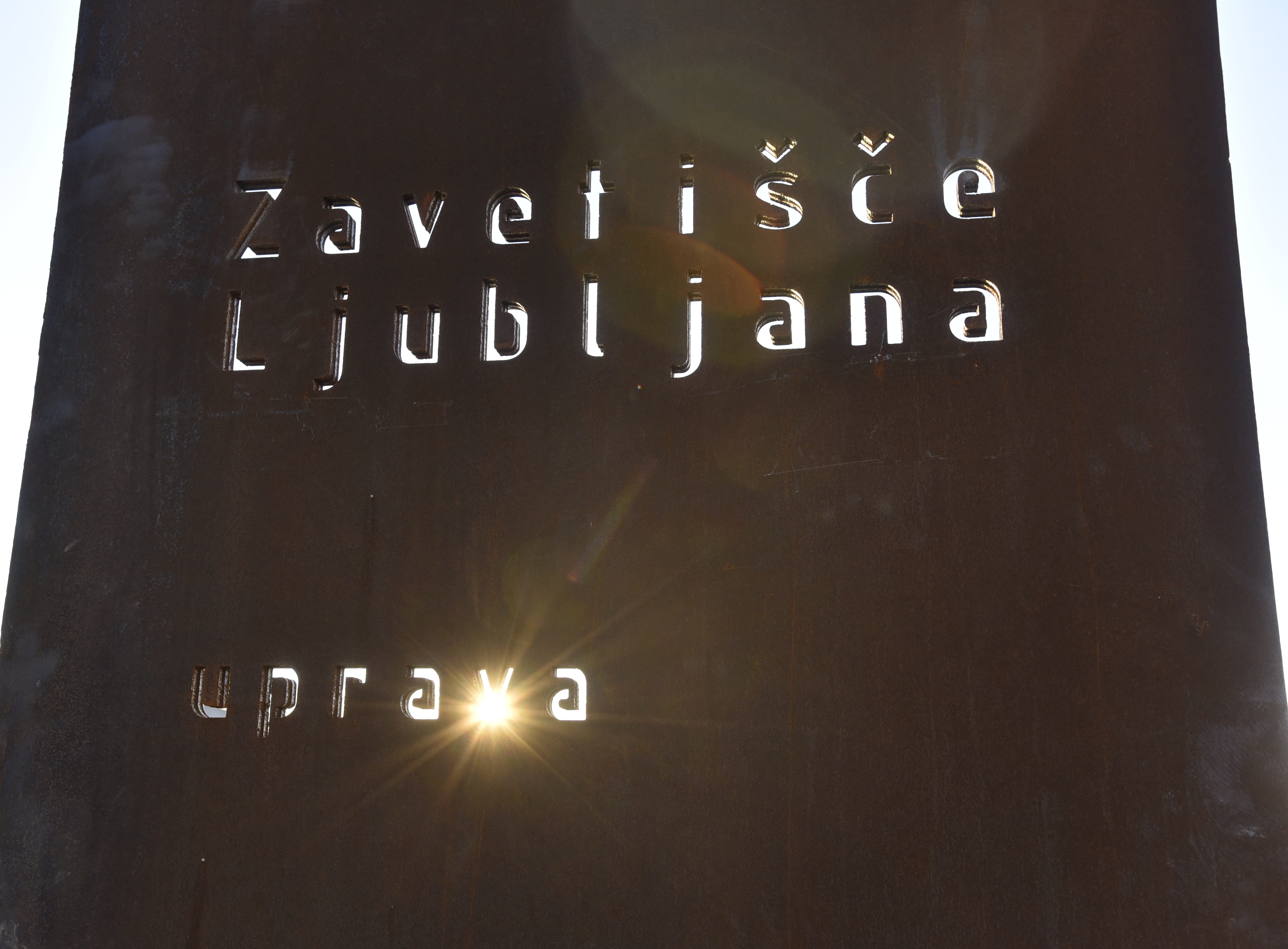 zavetišče ljubljana, živali