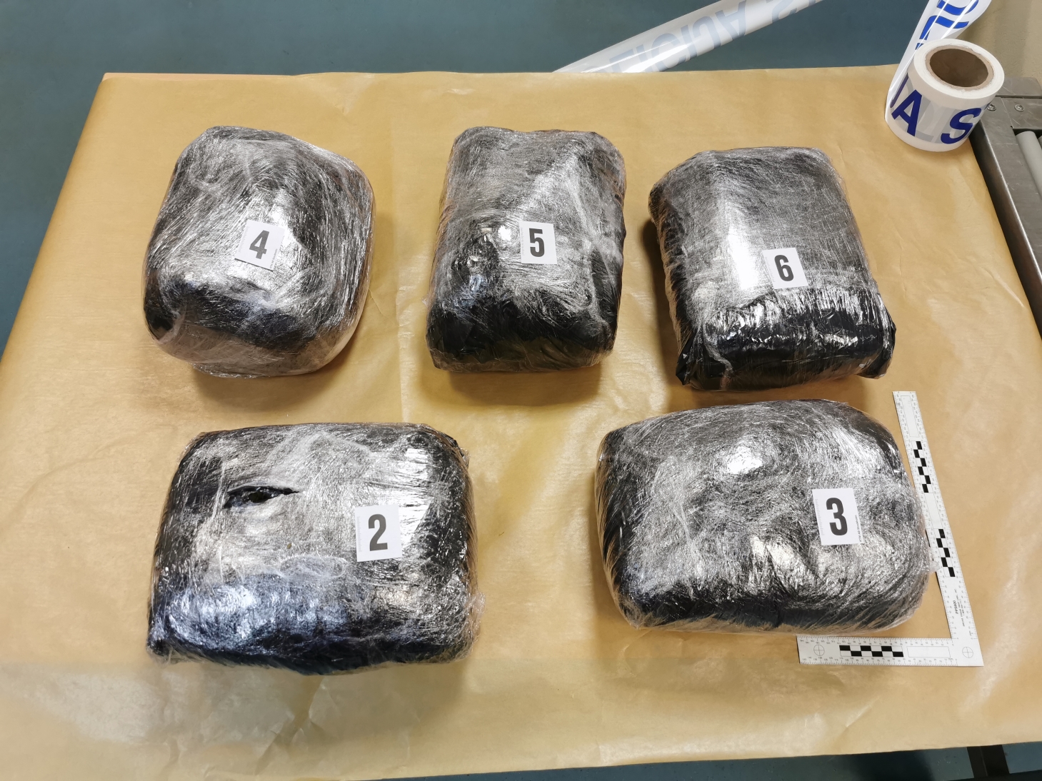 Zasežena konoplja z Obrežja 1. 4. 2022