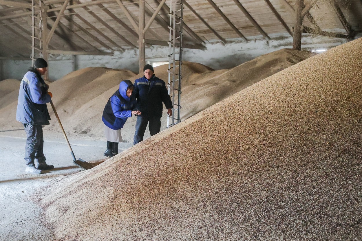 Grain depot in Crimea, Russia